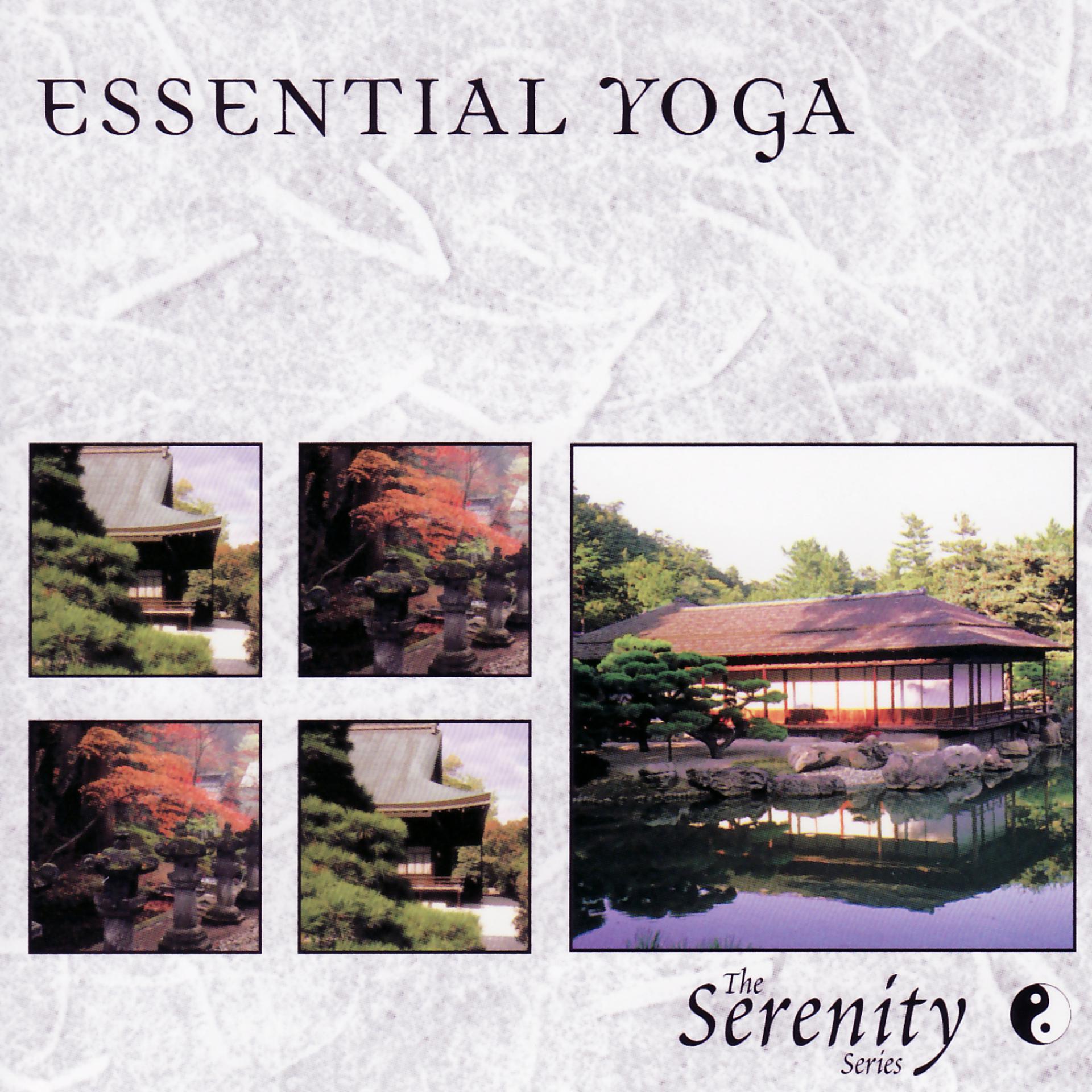 Постер альбома Essential Yoga