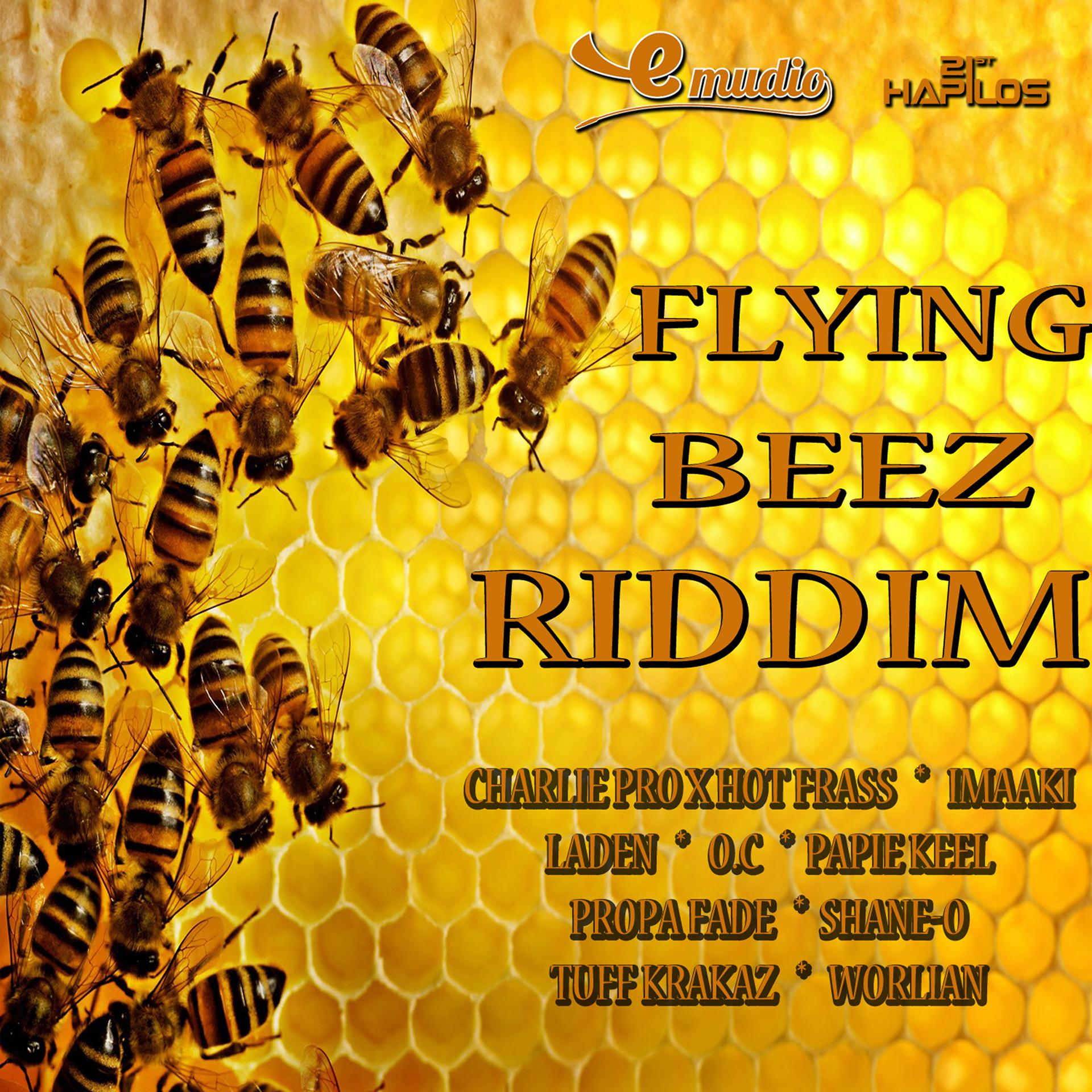 Постер альбома Flying Beez Riddim