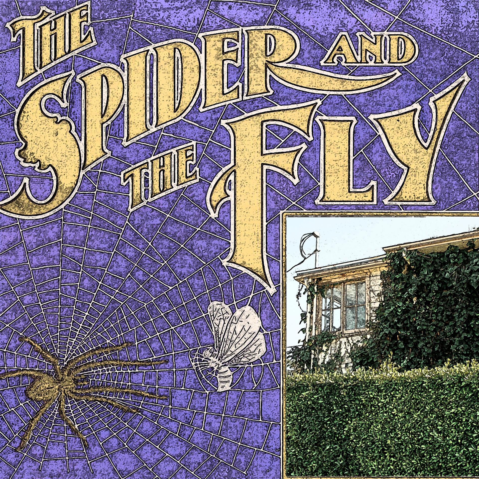 Постер альбома The Spider and the Fly
