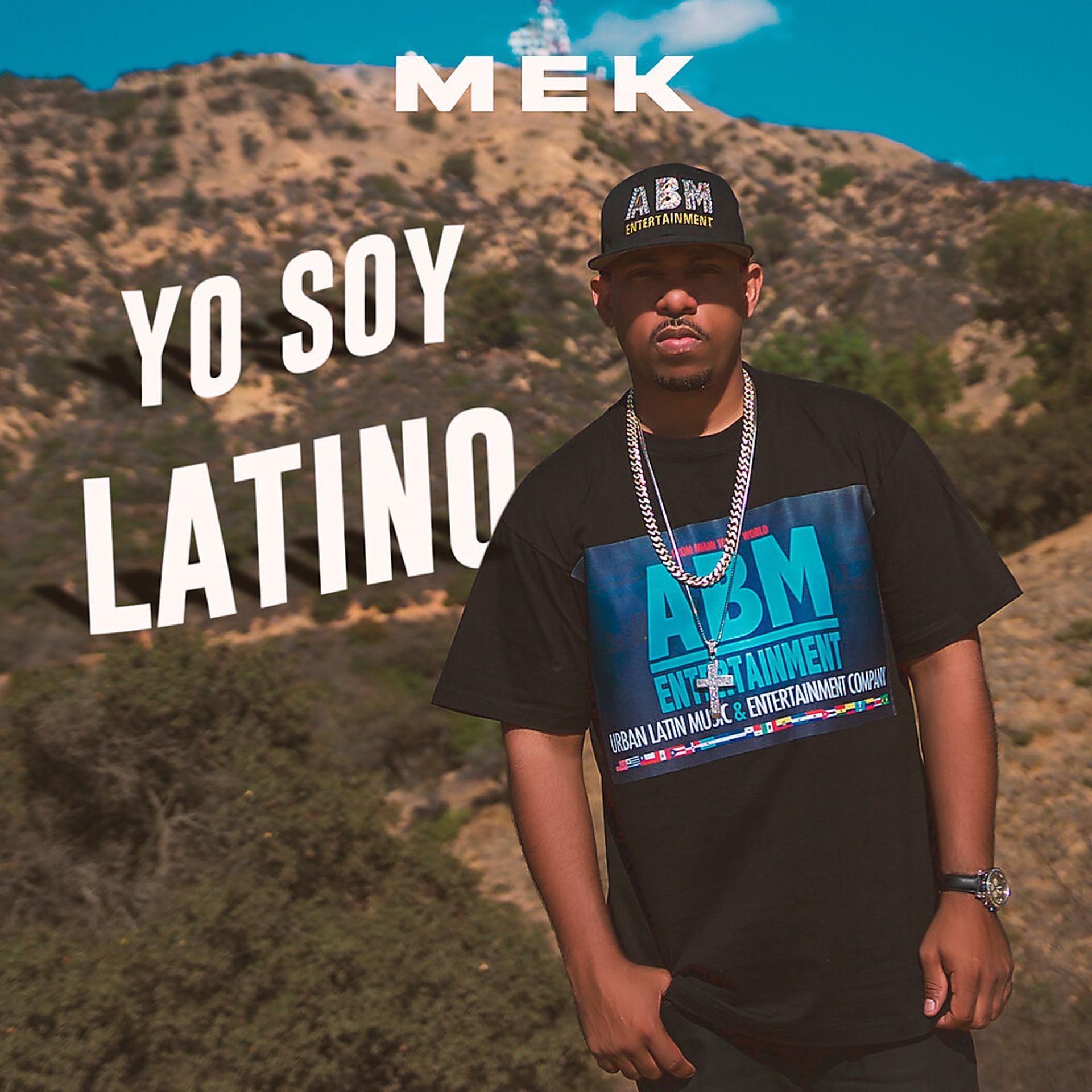 Постер альбома Yo Soy Latino
