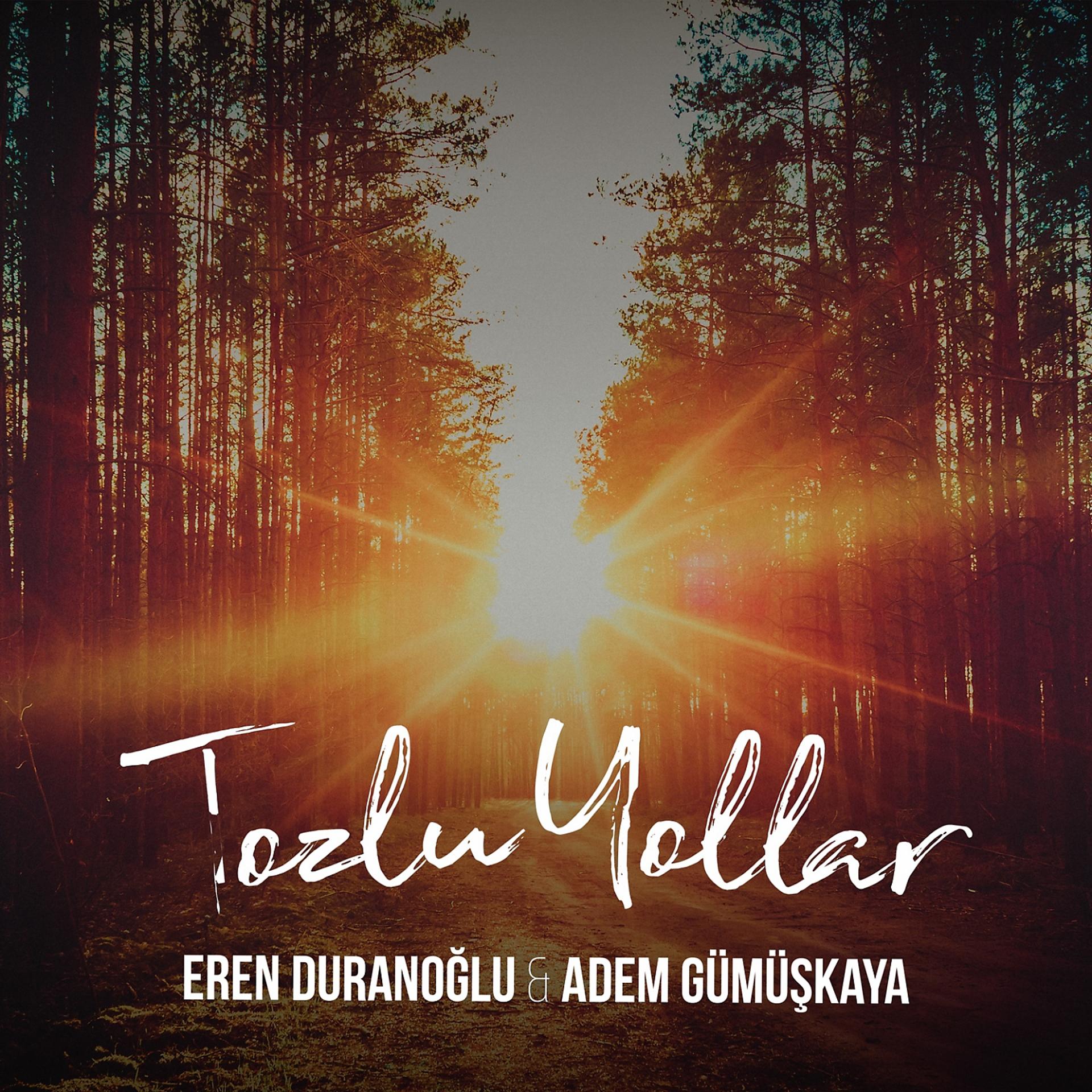Постер альбома Tozlu Yollar