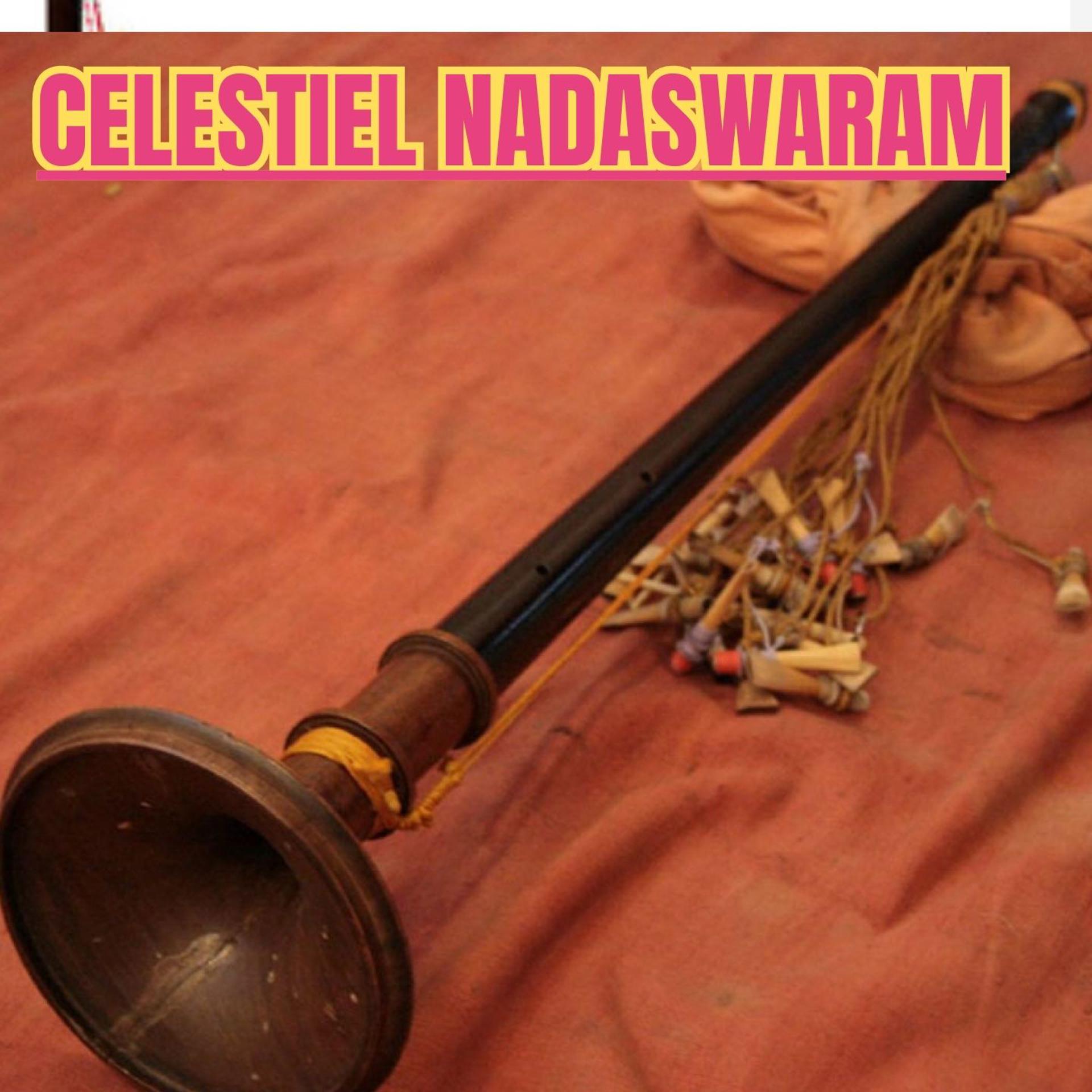 Постер альбома Celestiel Nadaswaram