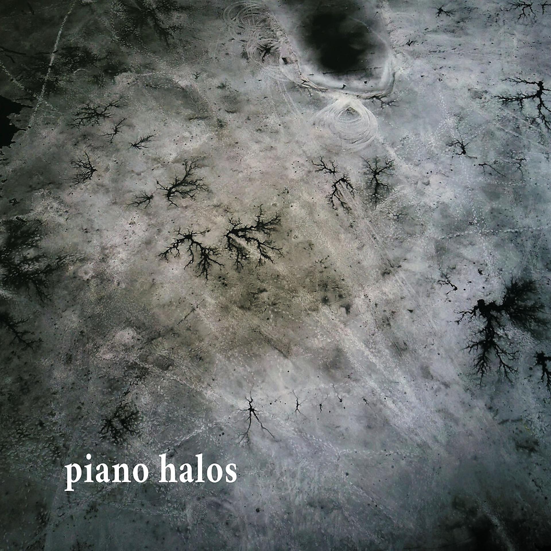 Постер альбома Piano Halos