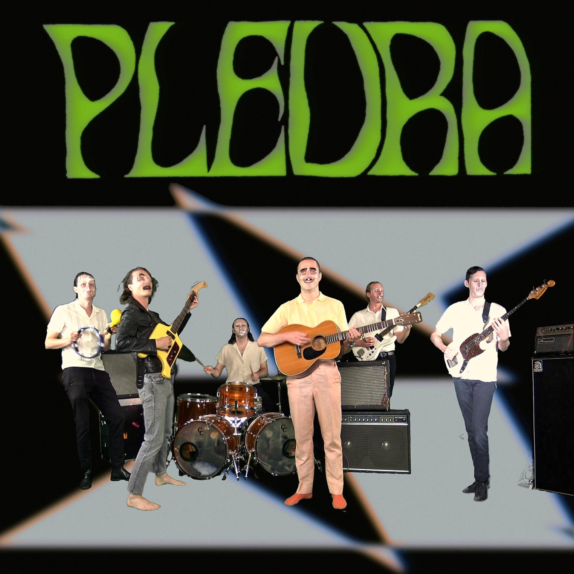 Постер альбома Pleura