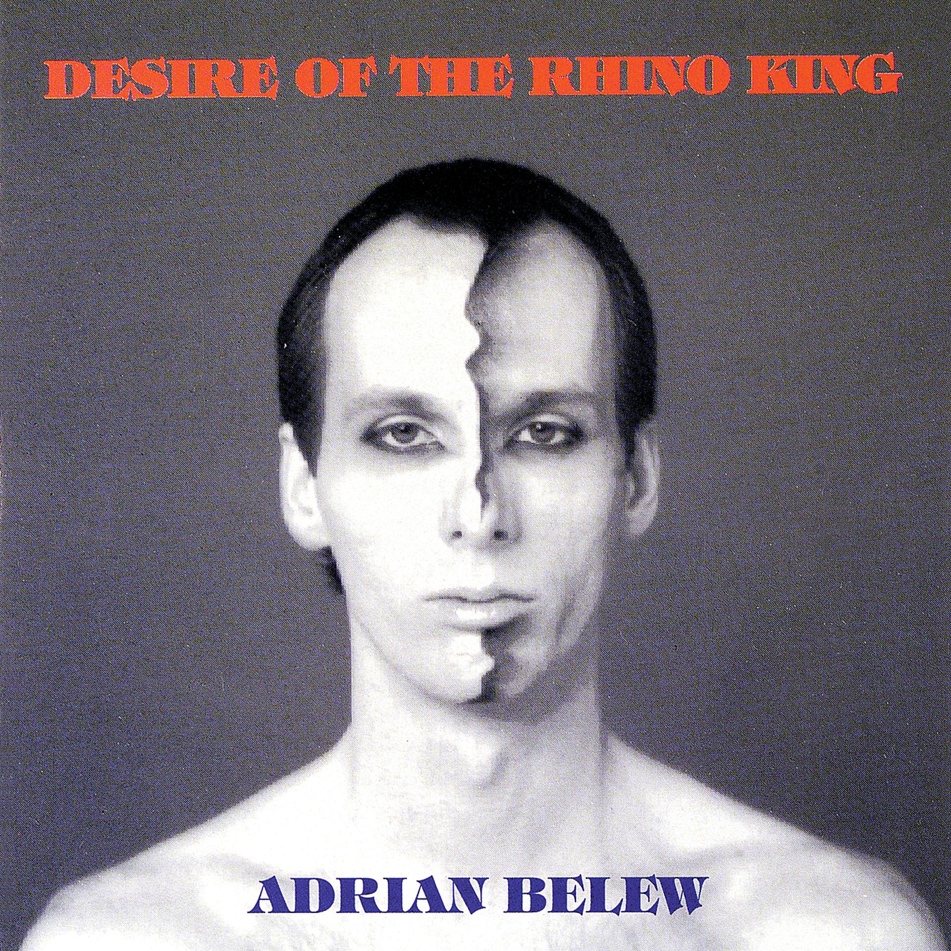 Постер альбома Desire Of The Rhino King