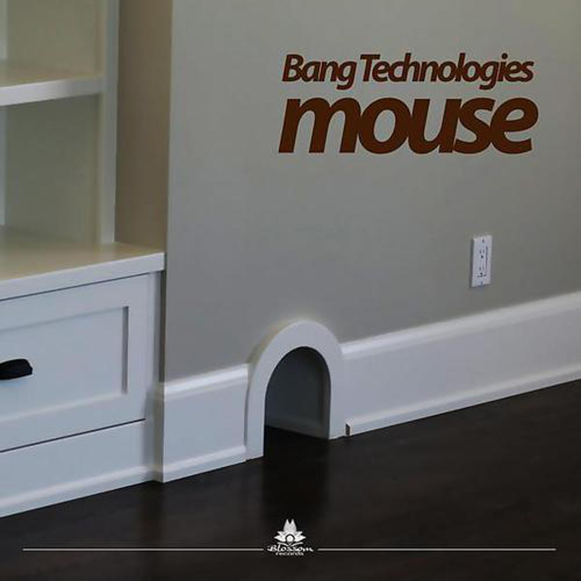 Постер альбома Mouse