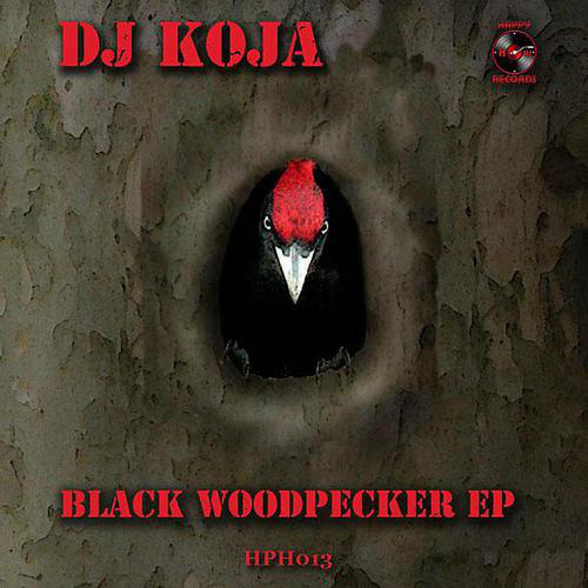 Постер альбома Black Woodpecker EP