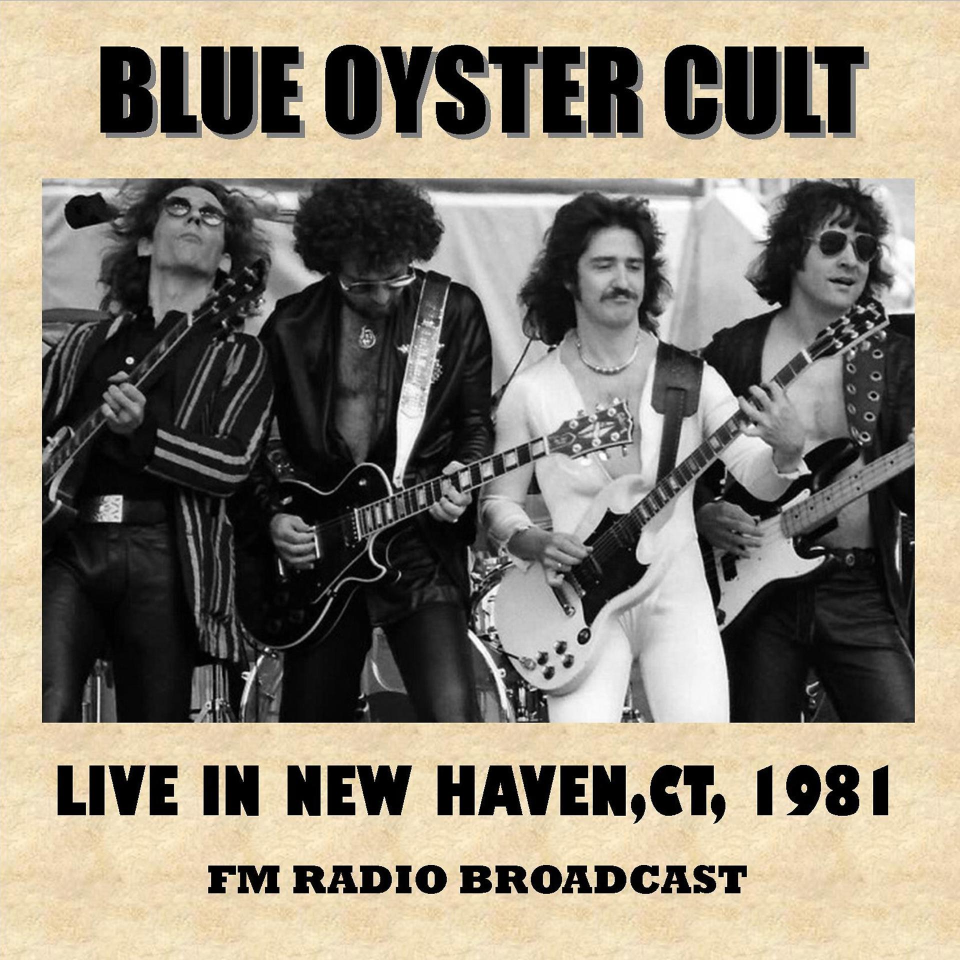 Постер альбома Live in New Haven, Ct, 1981 (Fm Radio Broadcast)
