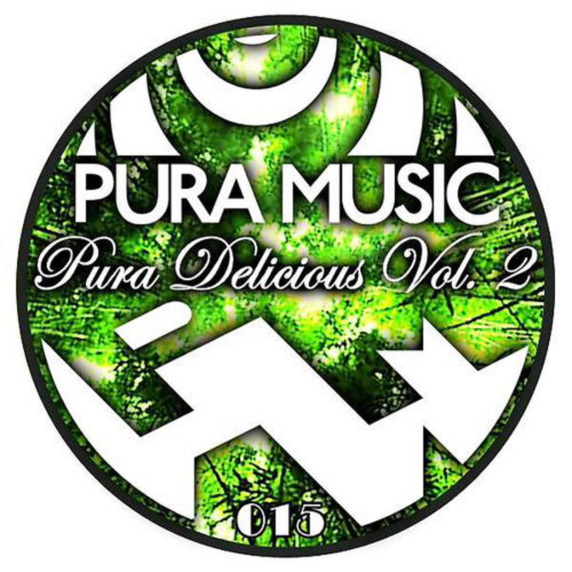 Постер альбома V A. Pura Delicious Vol.2