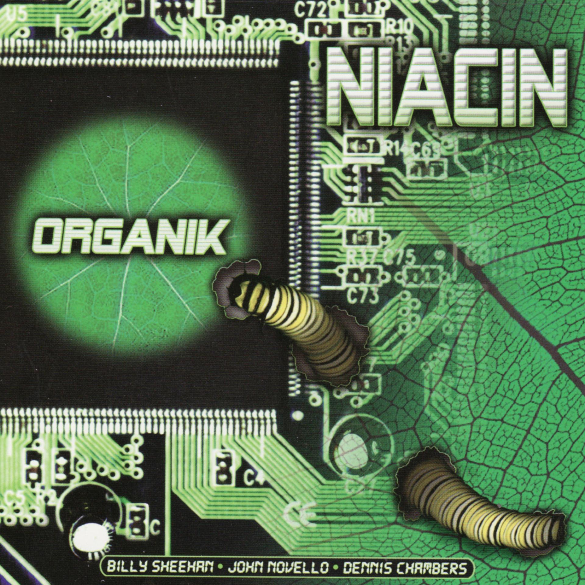 Постер альбома Organik