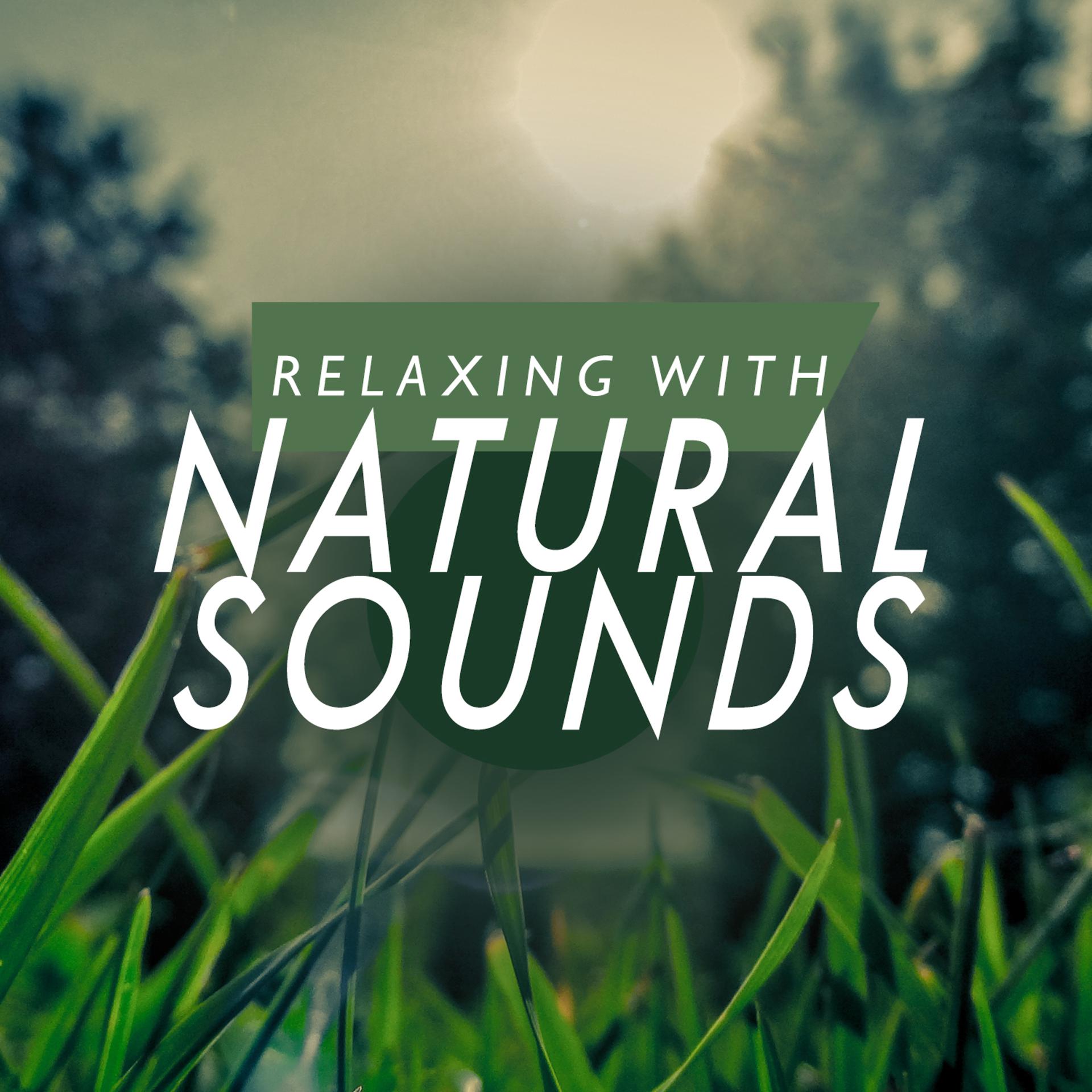 Постер альбома Relaxing with Natural Sounds
