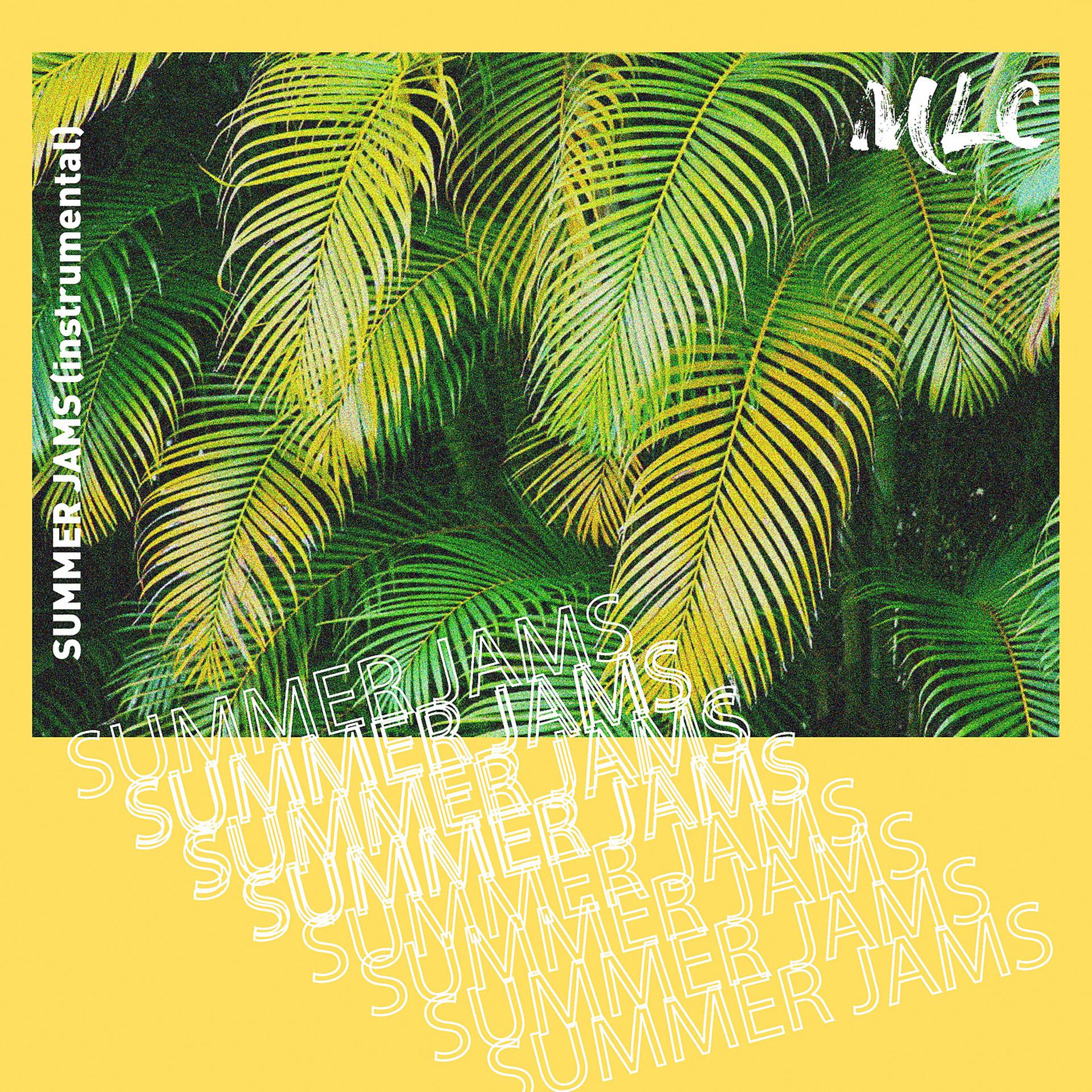Постер альбома Summer Jams (Instrumental)