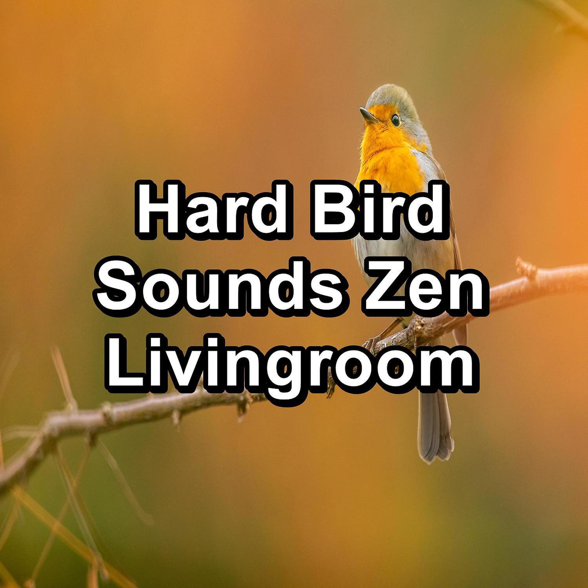 Постер альбома Hard Bird Sounds Zen Livingroom