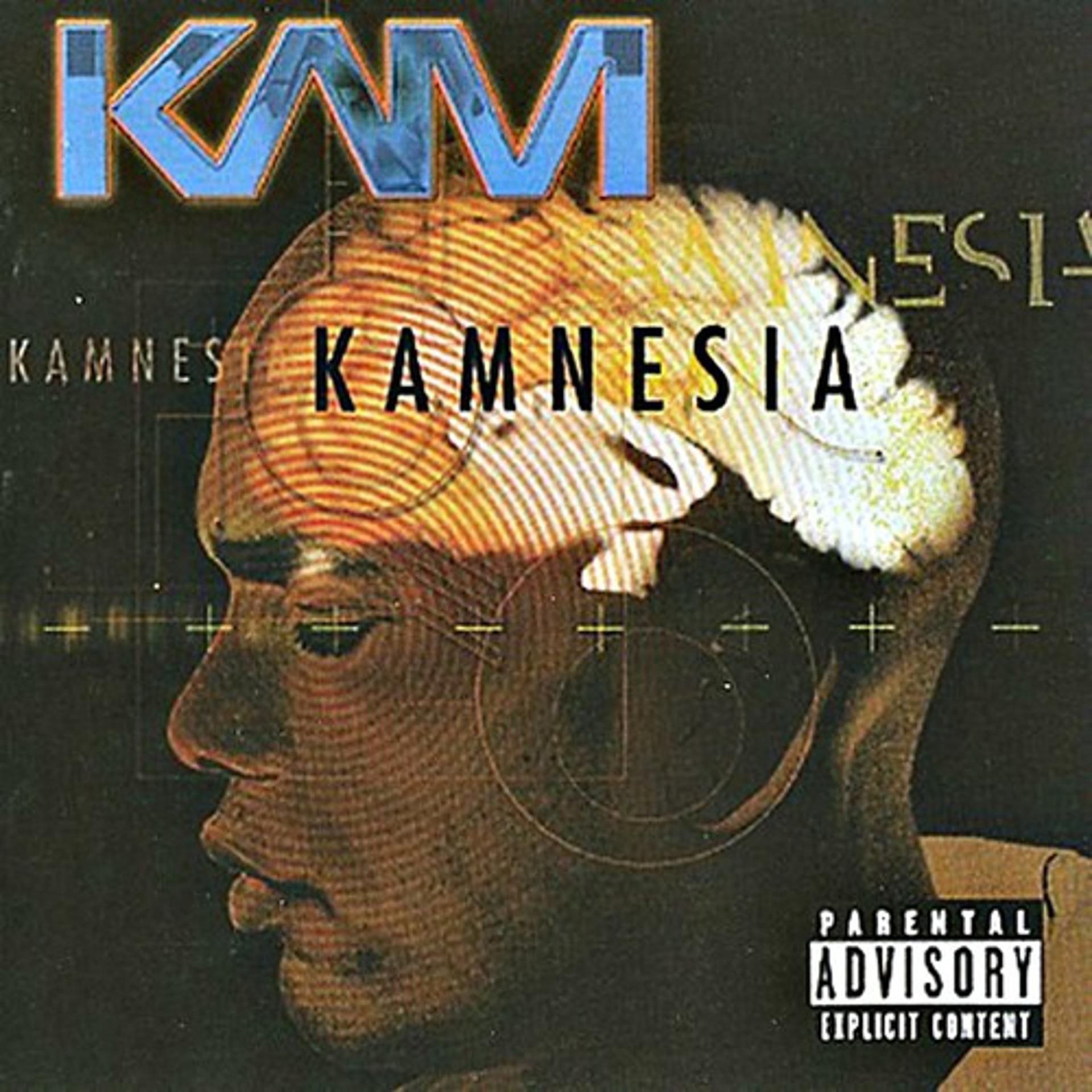 Постер альбома Kamnesia