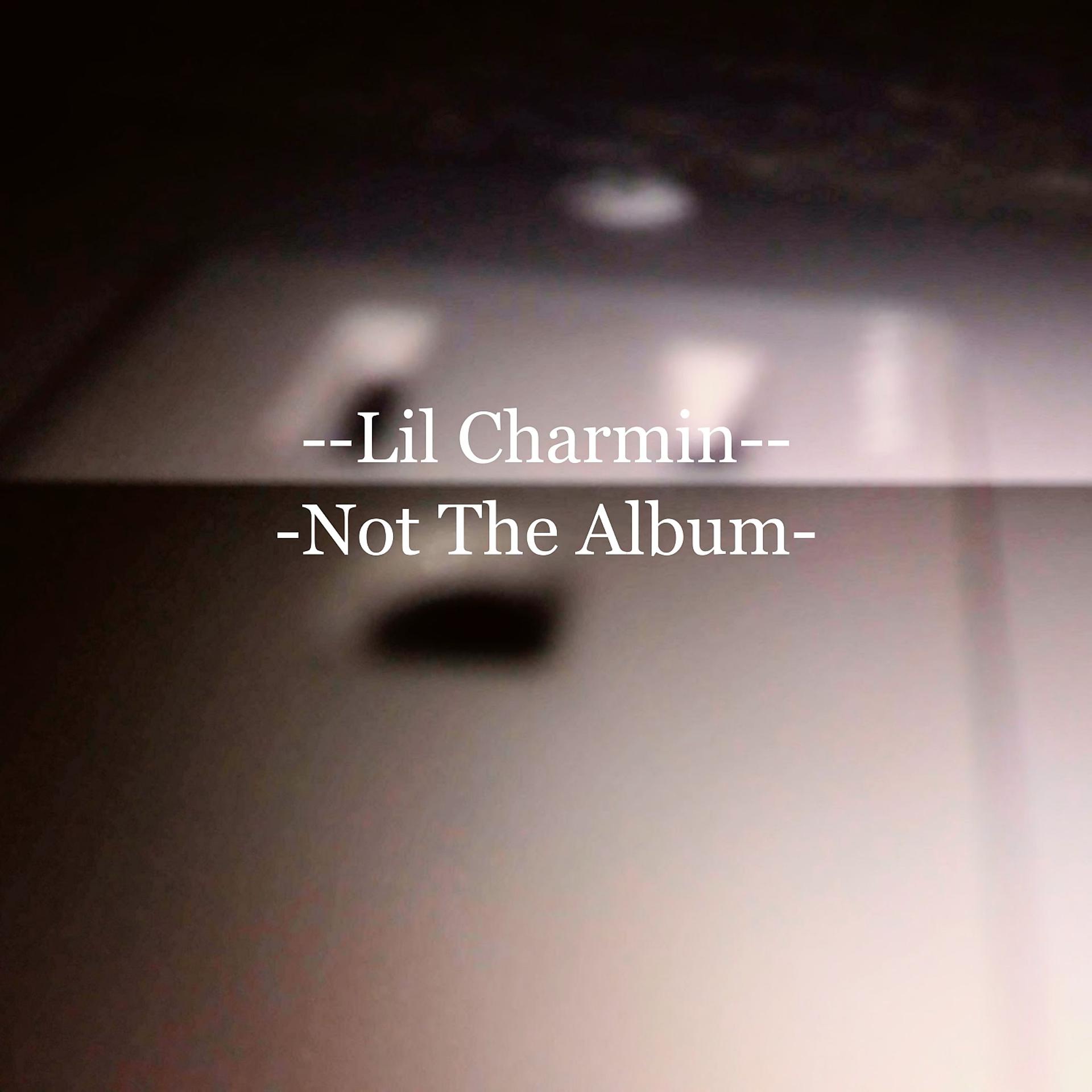 Постер альбома Not the Album
