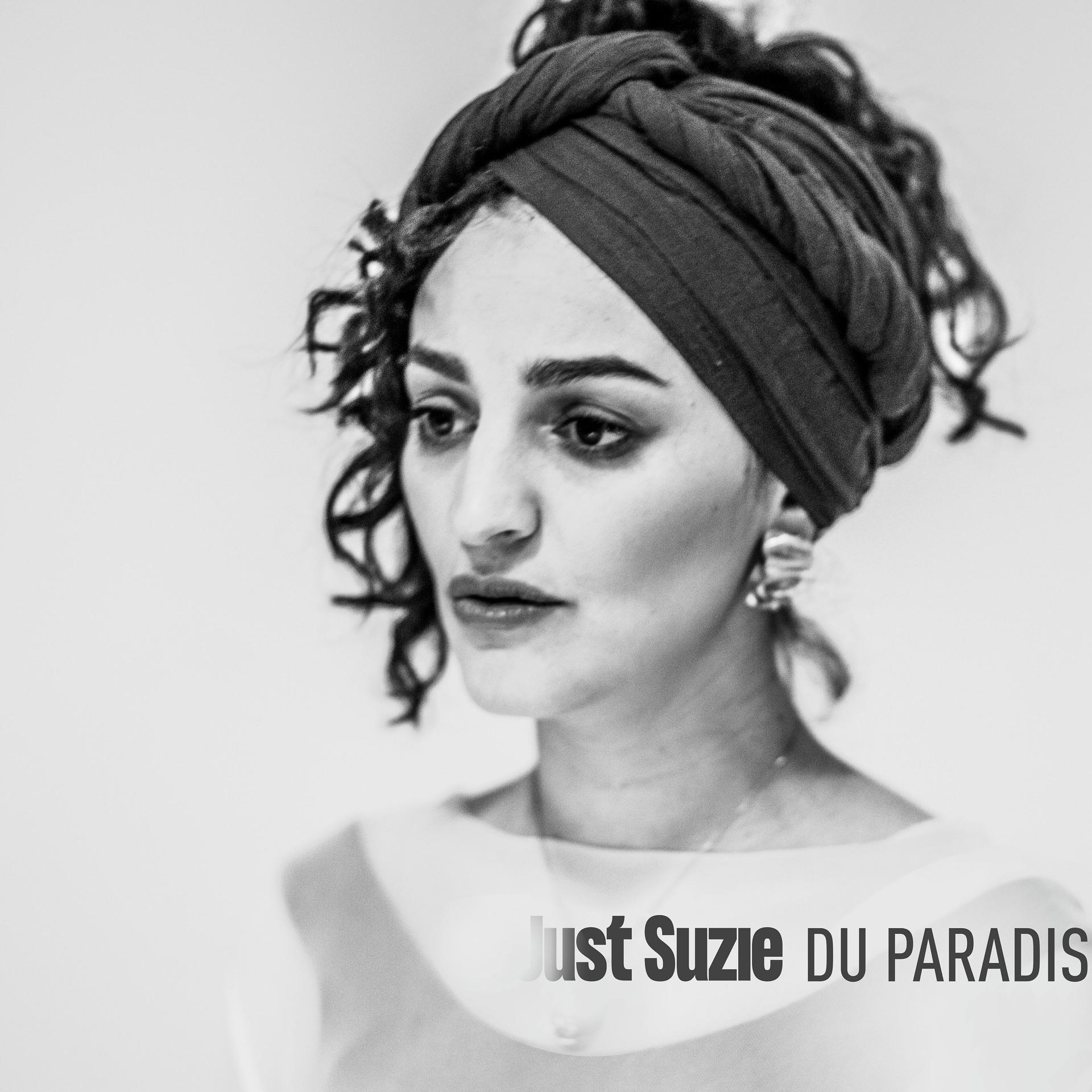 Постер альбома Du Paradis