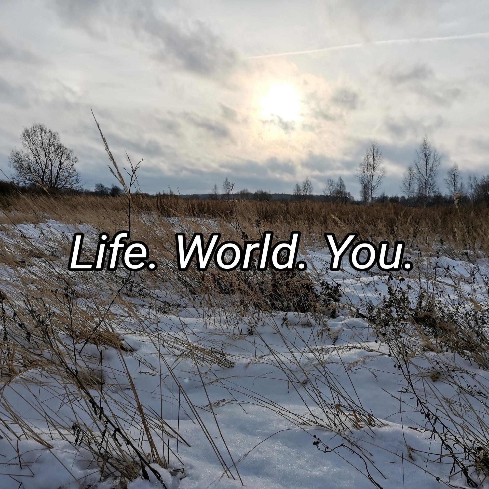 Постер альбома Life. World. You.