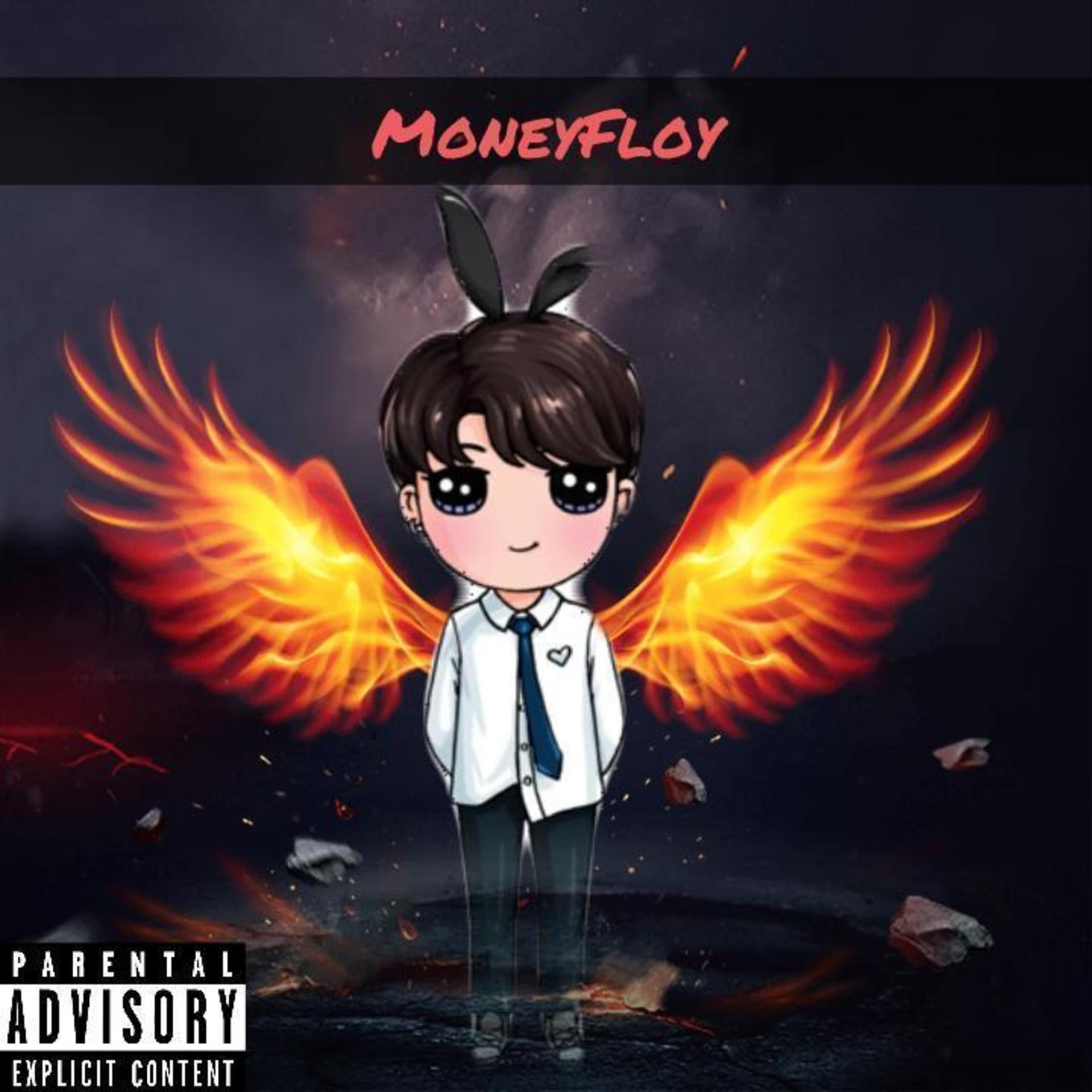 Постер альбома Moneyfloy