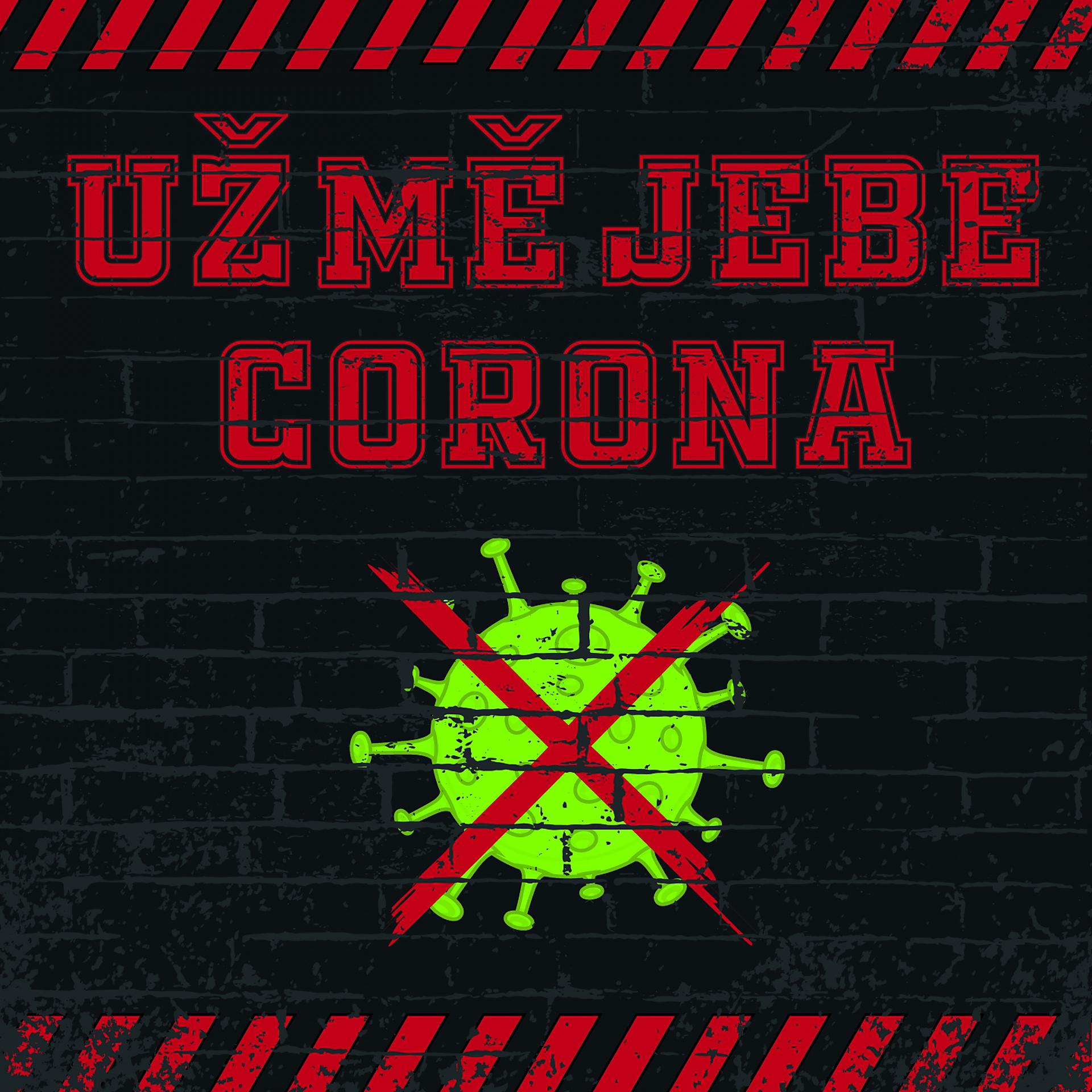 Постер альбома Už mě jebe corona