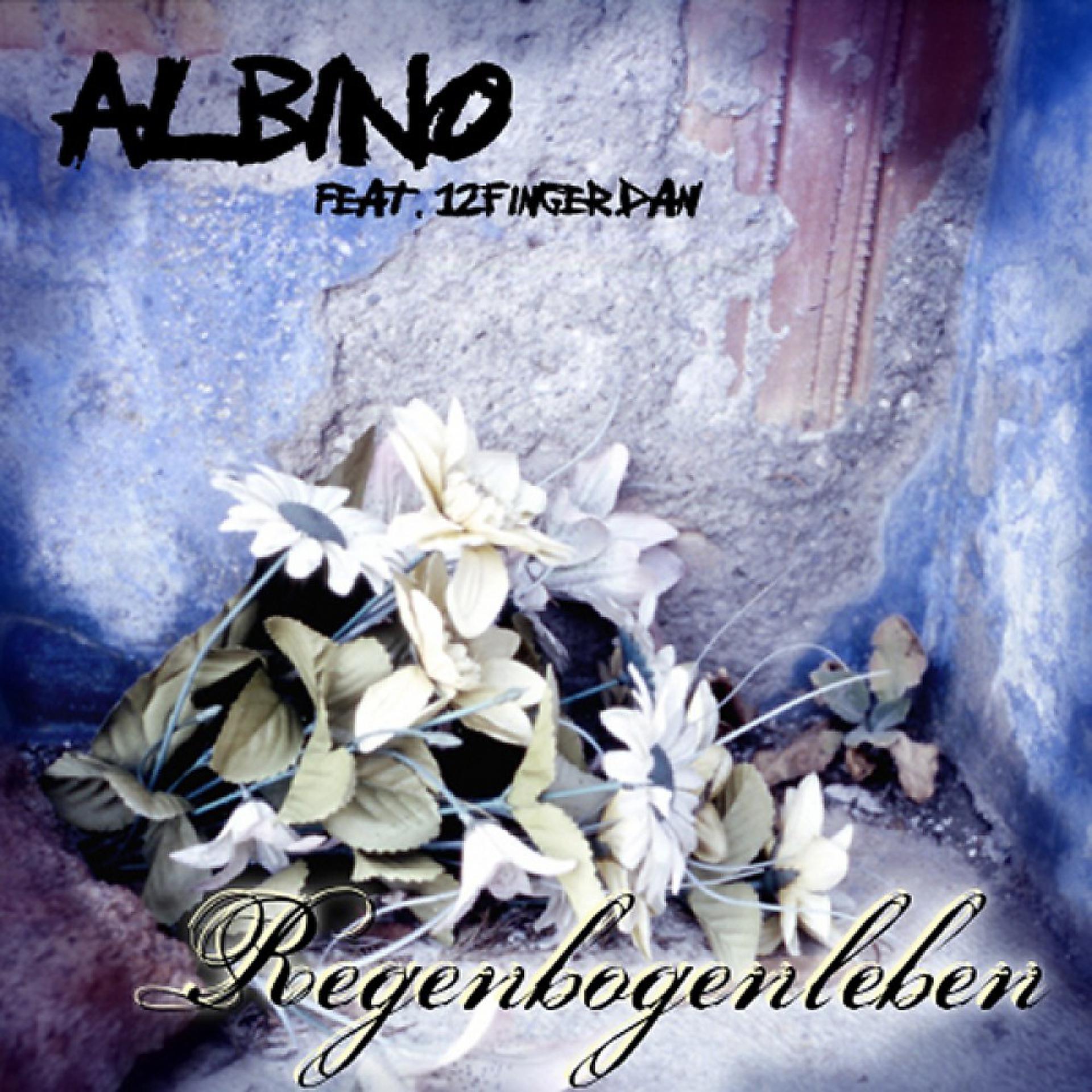 Постер альбома Regenbogenleben