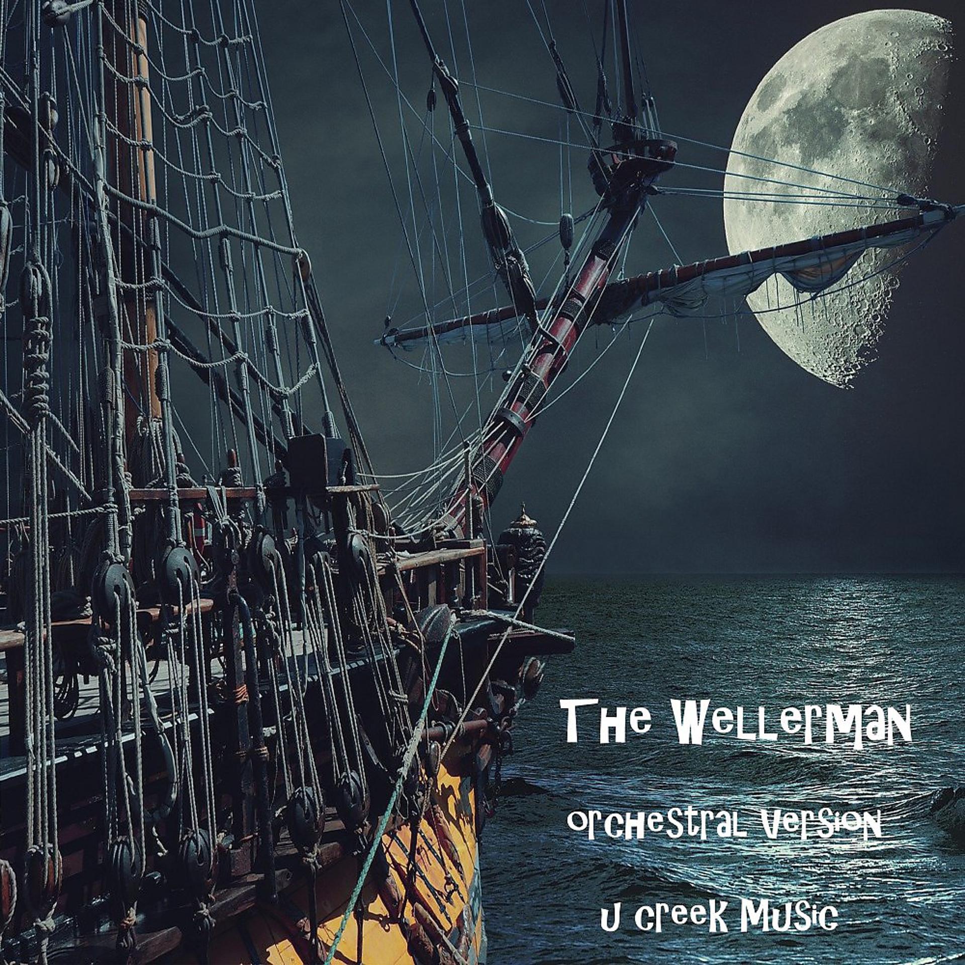 Постер альбома The Wellerman (Orchestral Version)