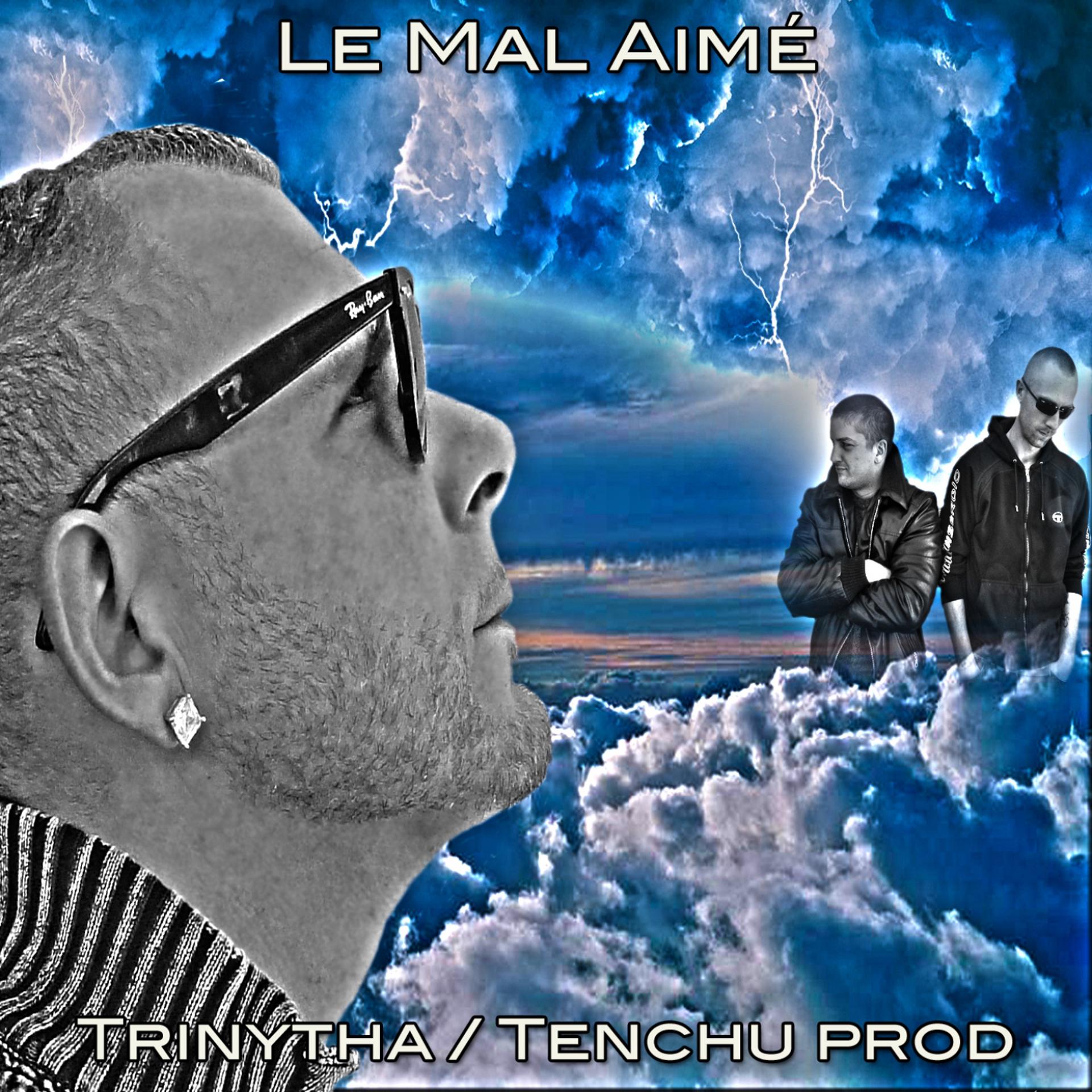 Постер альбома Le mal aimé