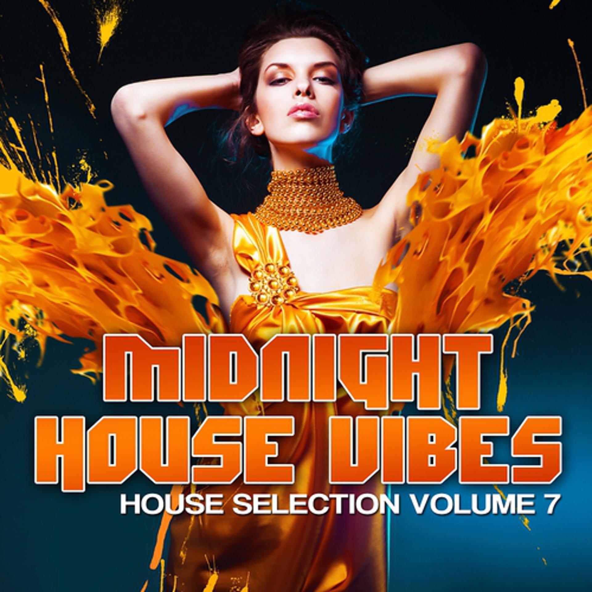 Постер альбома Midnight House Vibes, Vol. 7