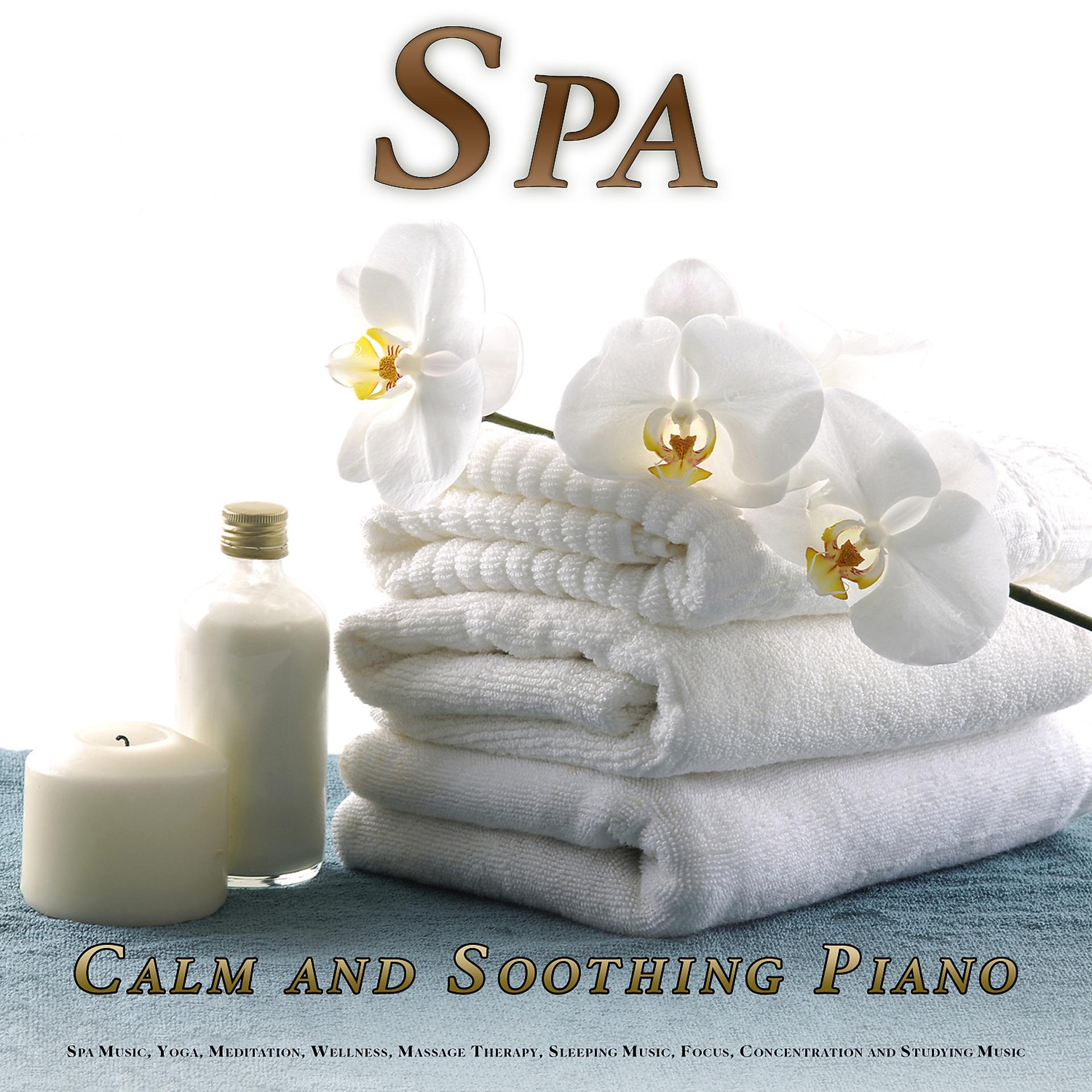 Постер альбома Spa: Calm and Soothing Piano Music for Spa Music, Yoga, Meditation, Wellness, Massage Therapy, Sleeping Music, Focus, Concentration and Studying Music