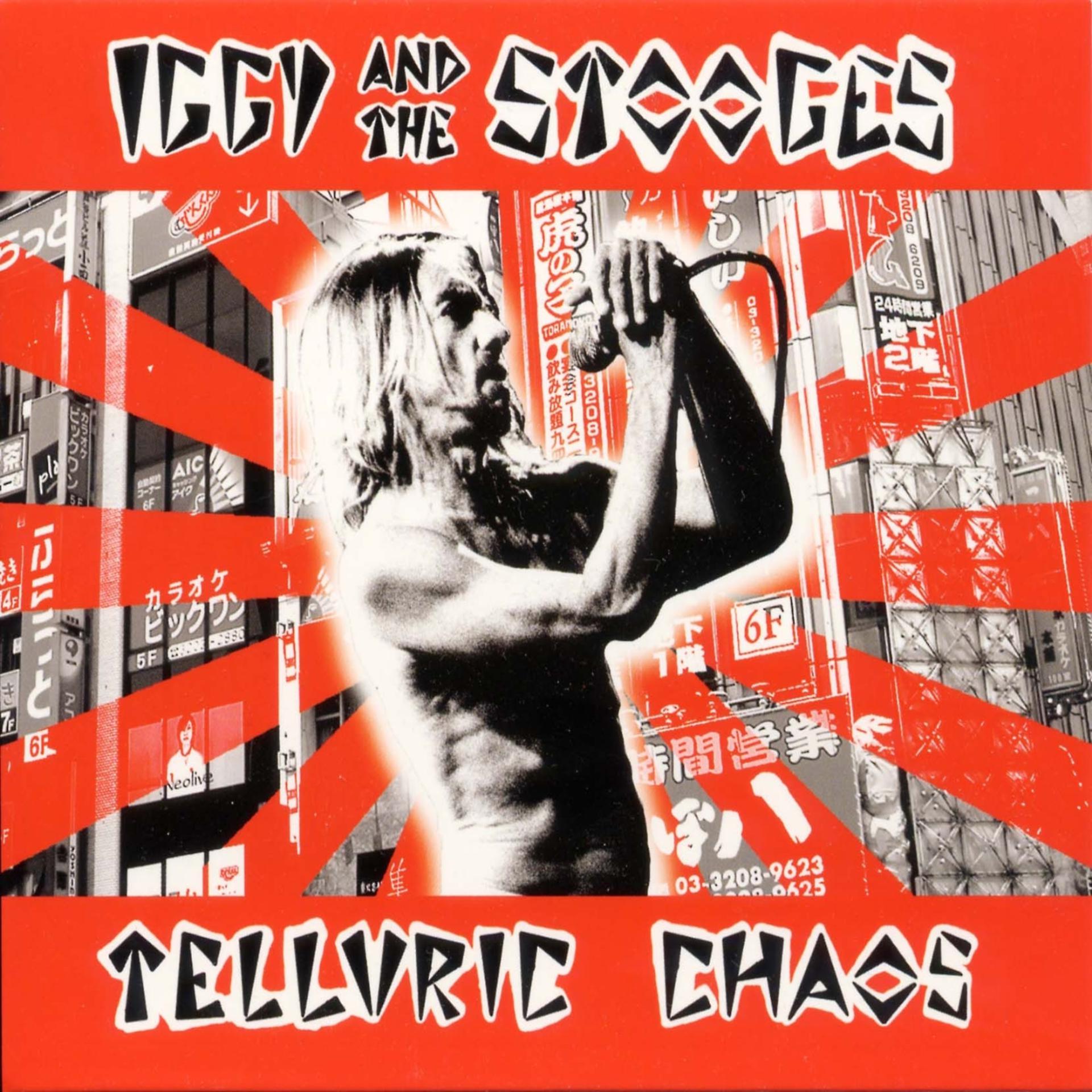 Постер альбома Telluric Chaos (Live Tokyo 2004)