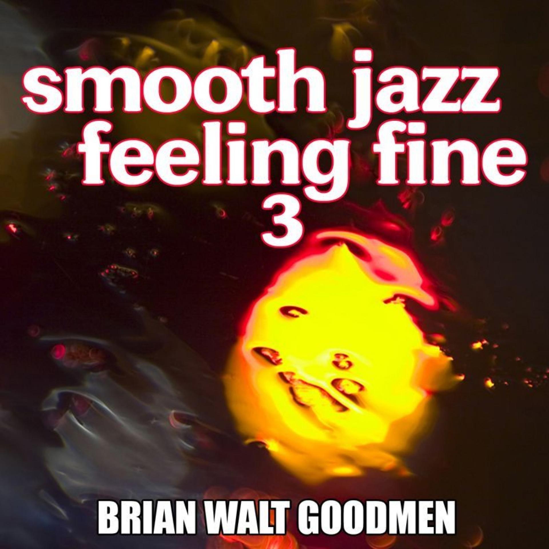 Постер альбома Smooth Jazz Feeling Fine 3