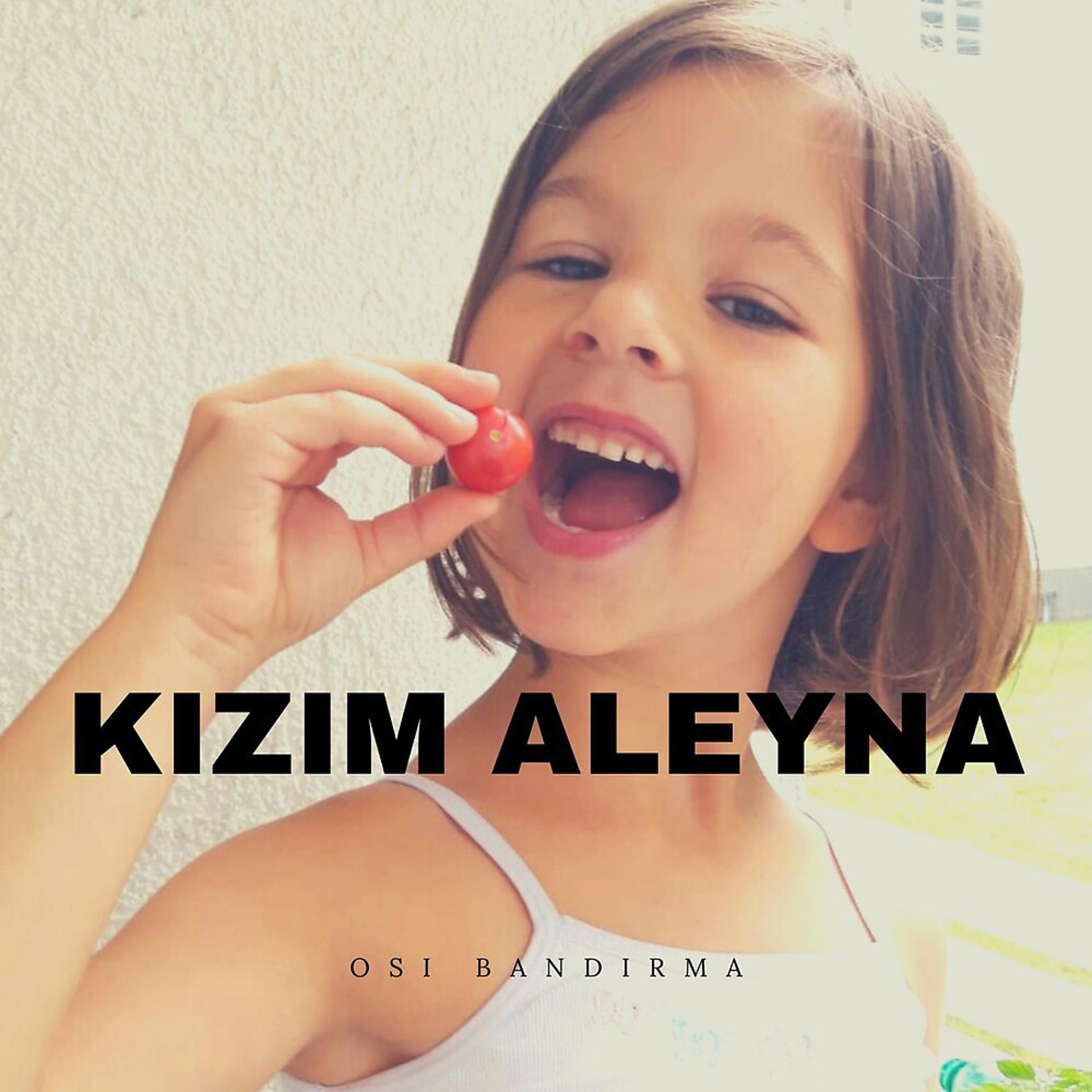 Постер альбома Kızım Aleyna