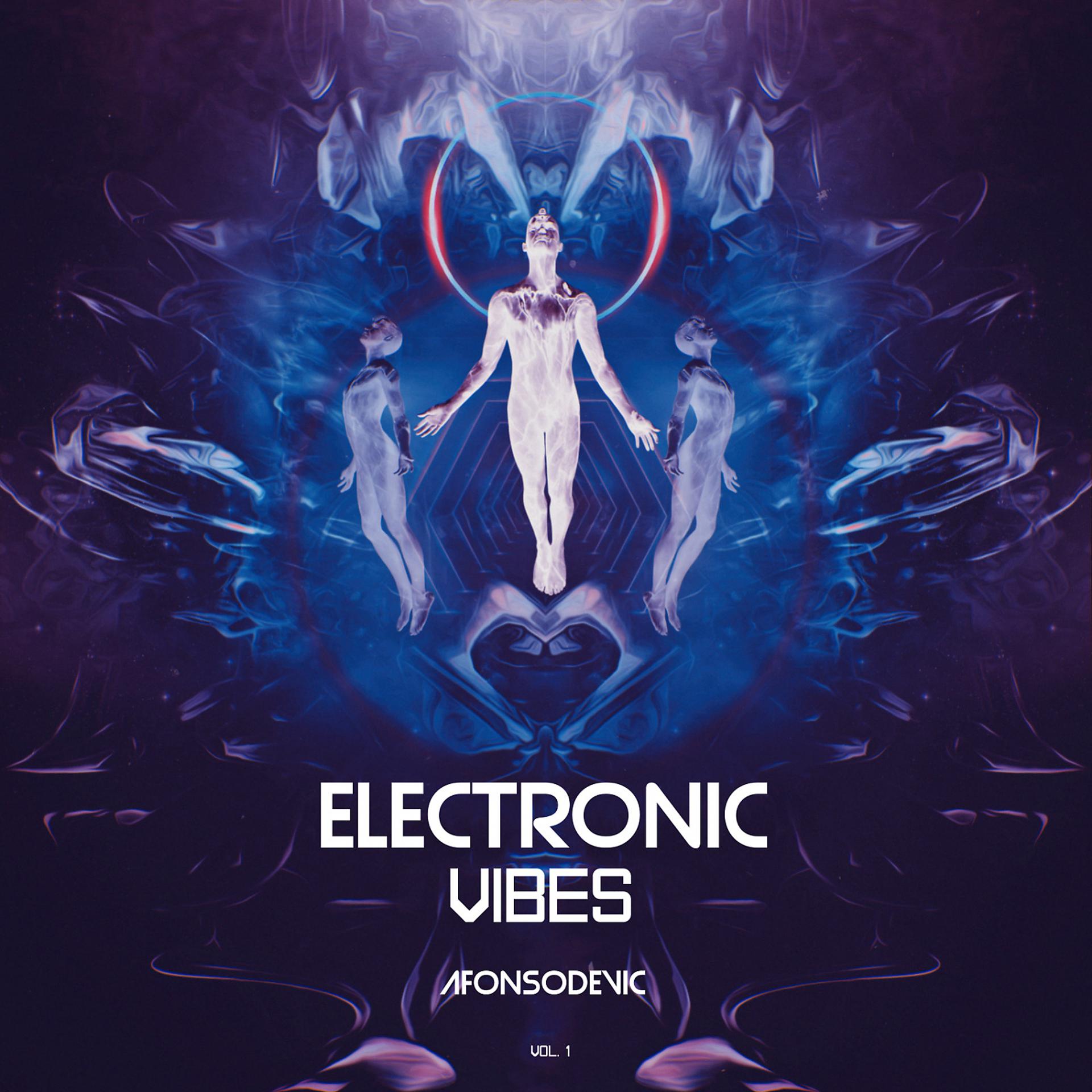 Постер альбома Electronic Vibes Vol.1