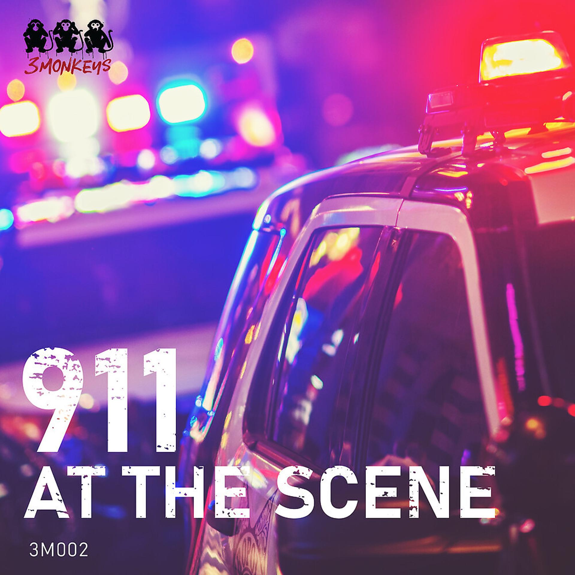 Постер альбома 911: At the Scene