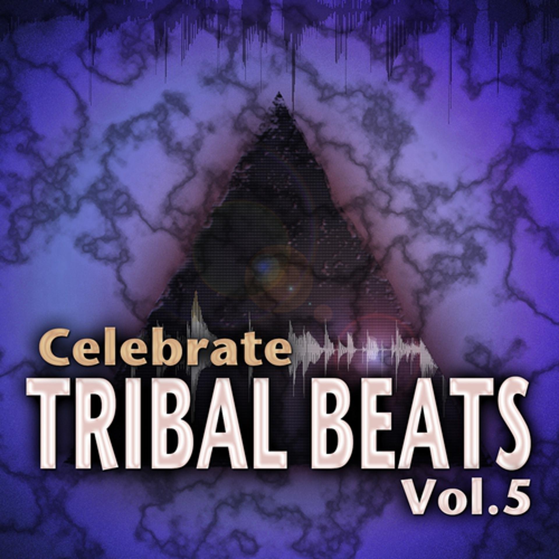 Постер альбома Celebrate Tribal Beats, Vol. 5 (Collection from Progressive to Tech House With Jazzy Latin Tribal Influences)