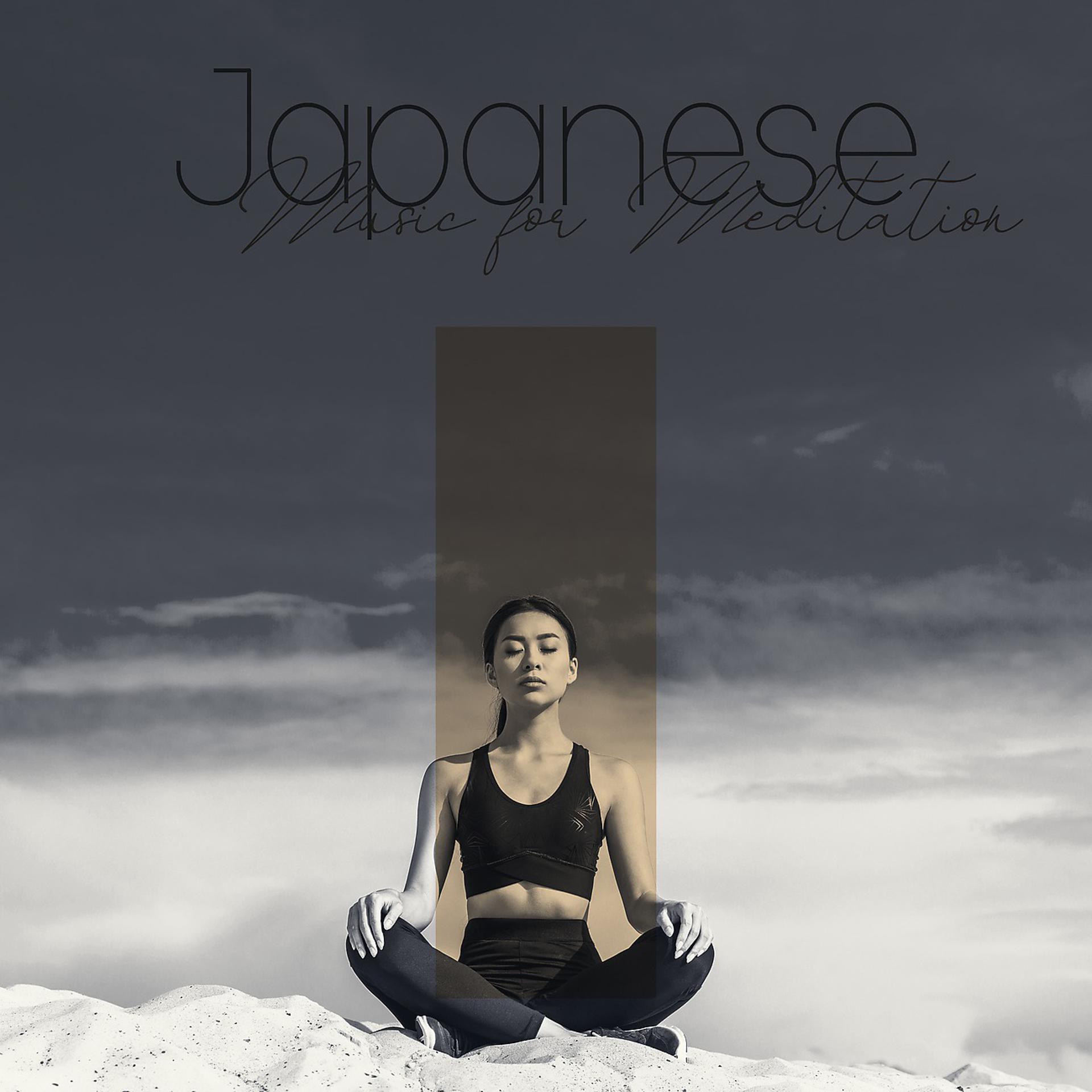 Постер альбома Japanese Music for Meditation