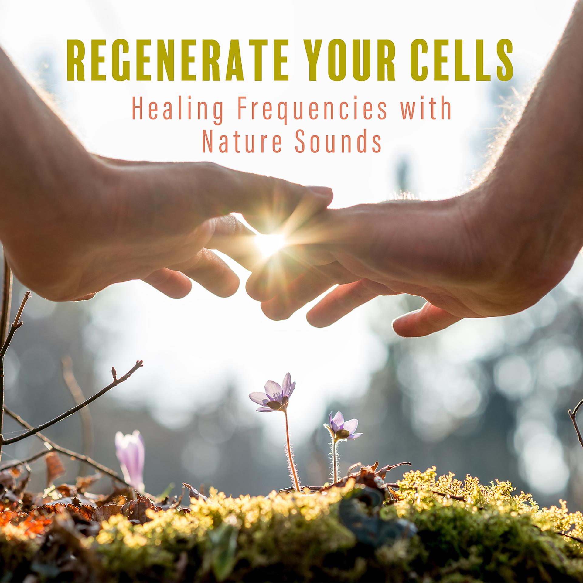 Постер альбома Regenerate Your Cells: Healing Frequencies with Nature Sounds. Holistic Renewal, Body & Mind Deep Regeneration