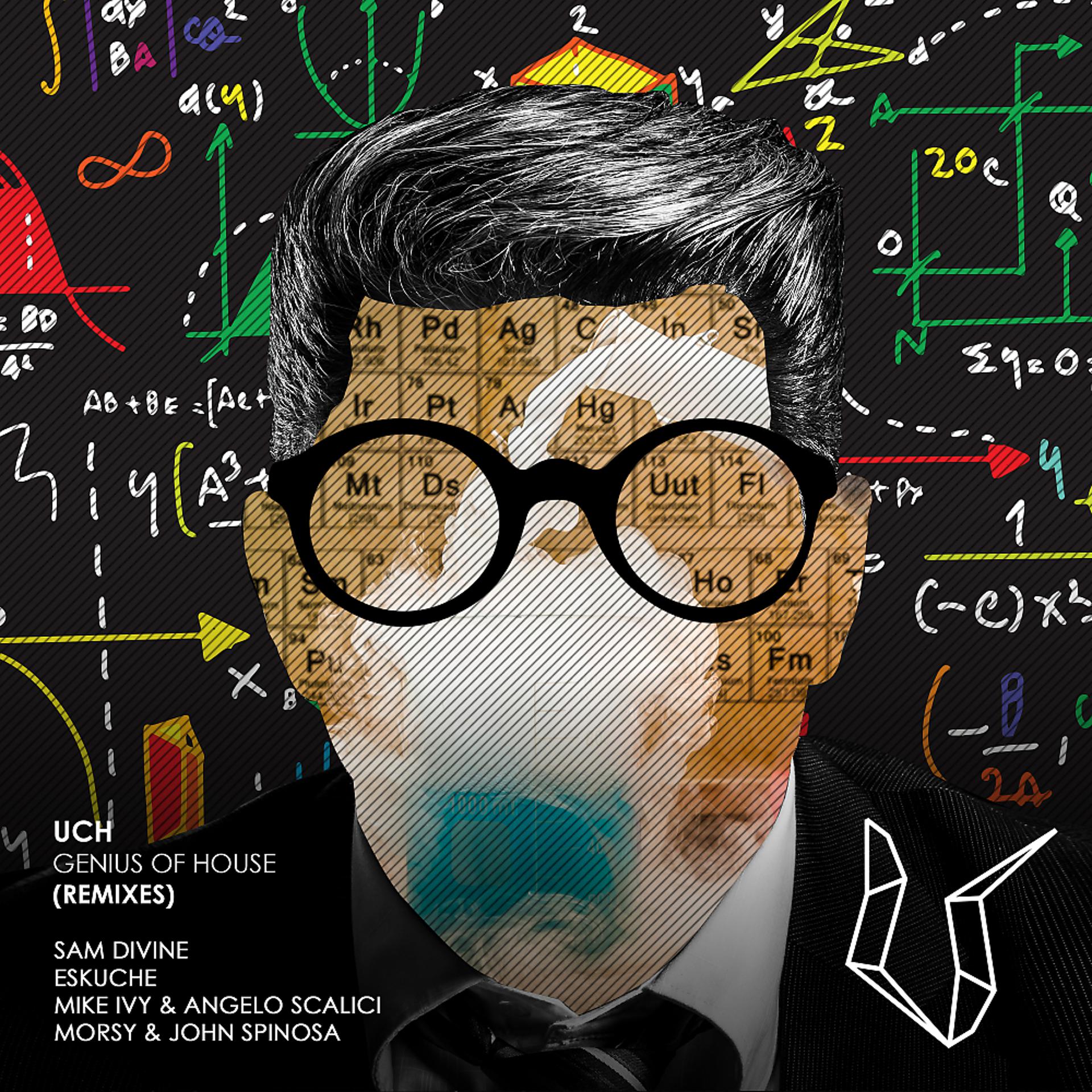 Постер альбома Genius Of House (Remixes)