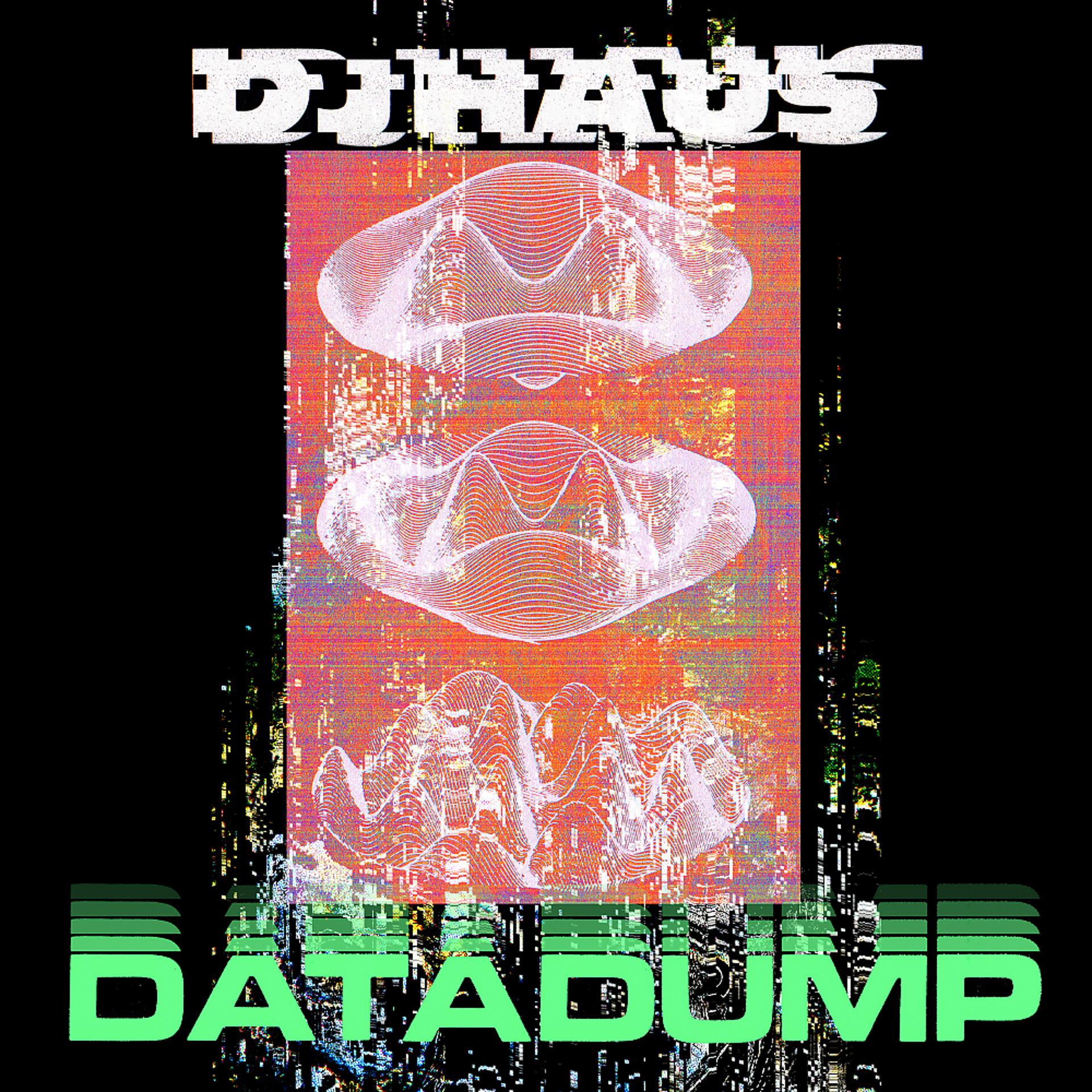 Постер альбома Data Dump