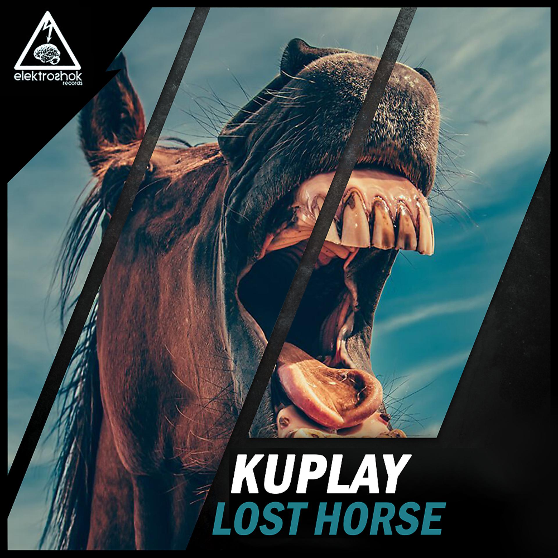 Постер альбома Lost Horse