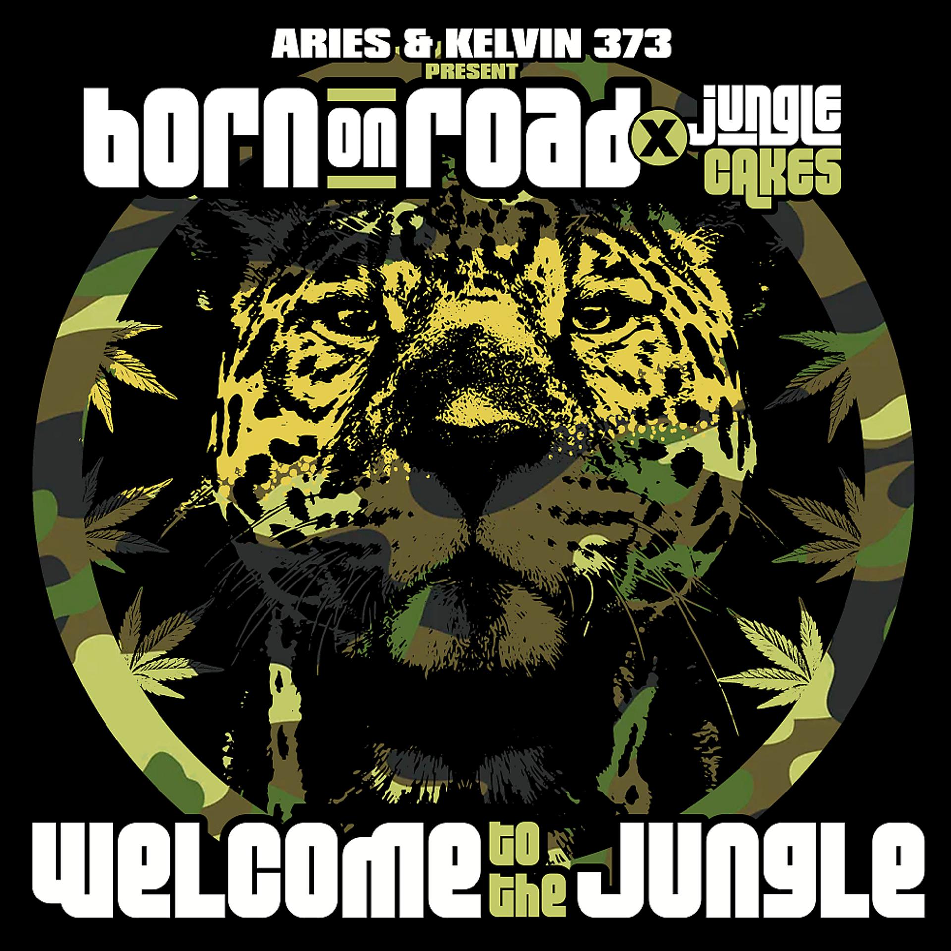 Постер альбома Aries & Kelvin 373 present Born On Road x Jungle Cakes - Welcome To The Jungle (DJ Mix)