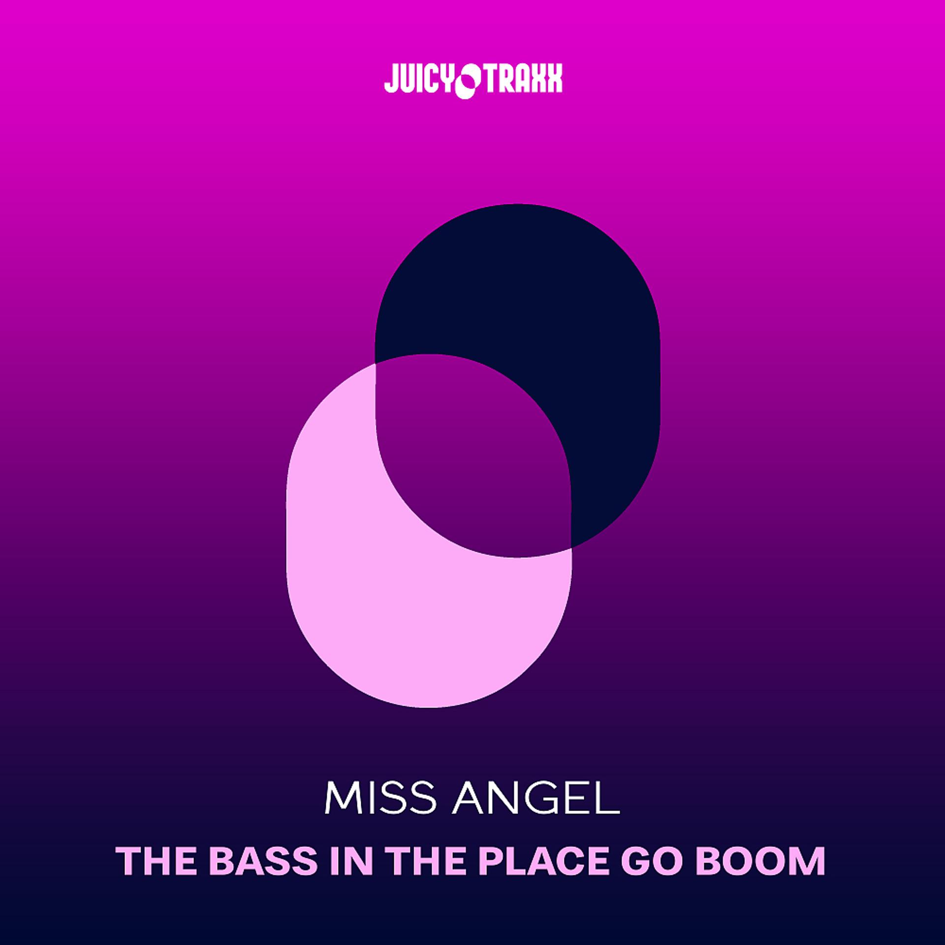 Постер альбома The Bass in the place go Boom