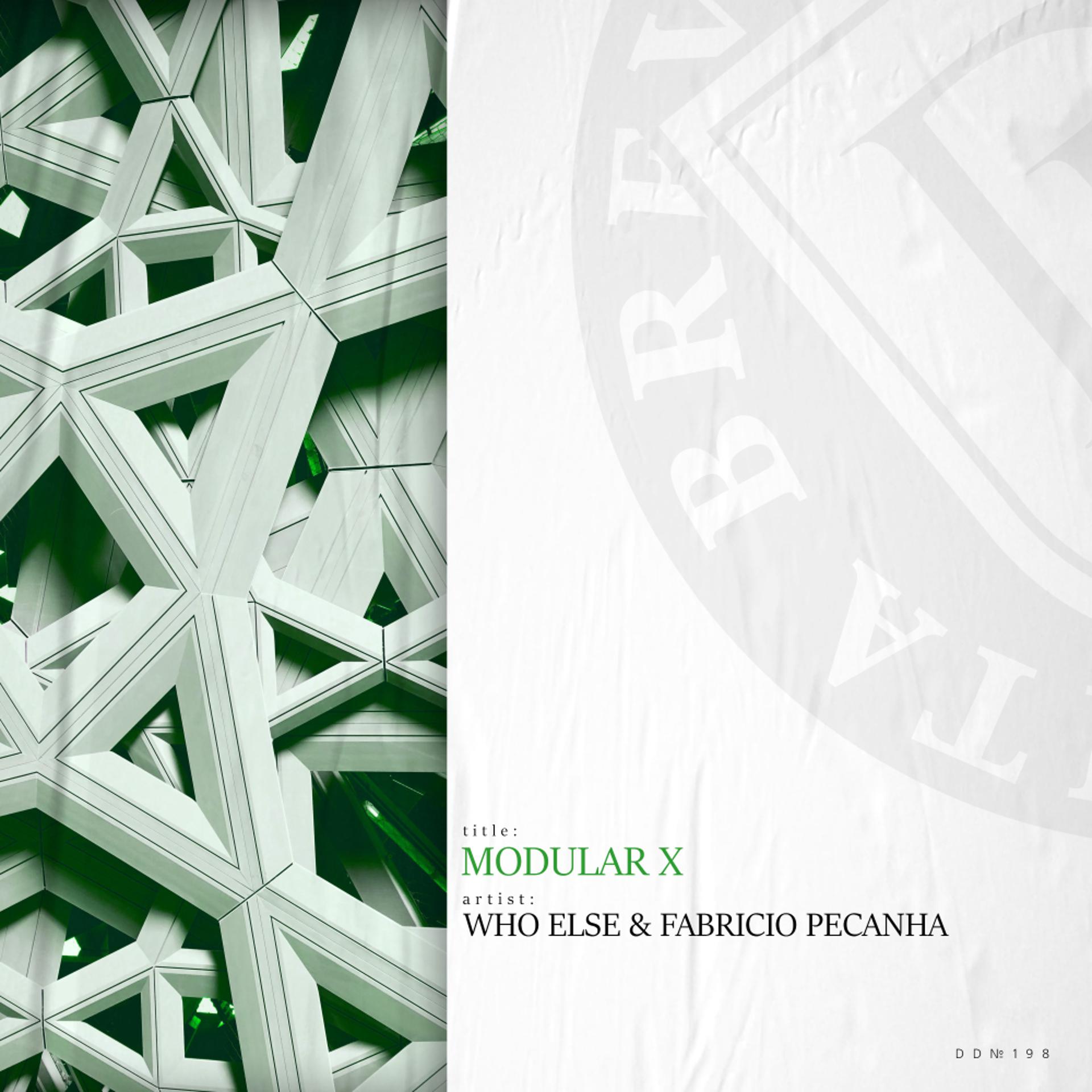 Постер альбома Modular X