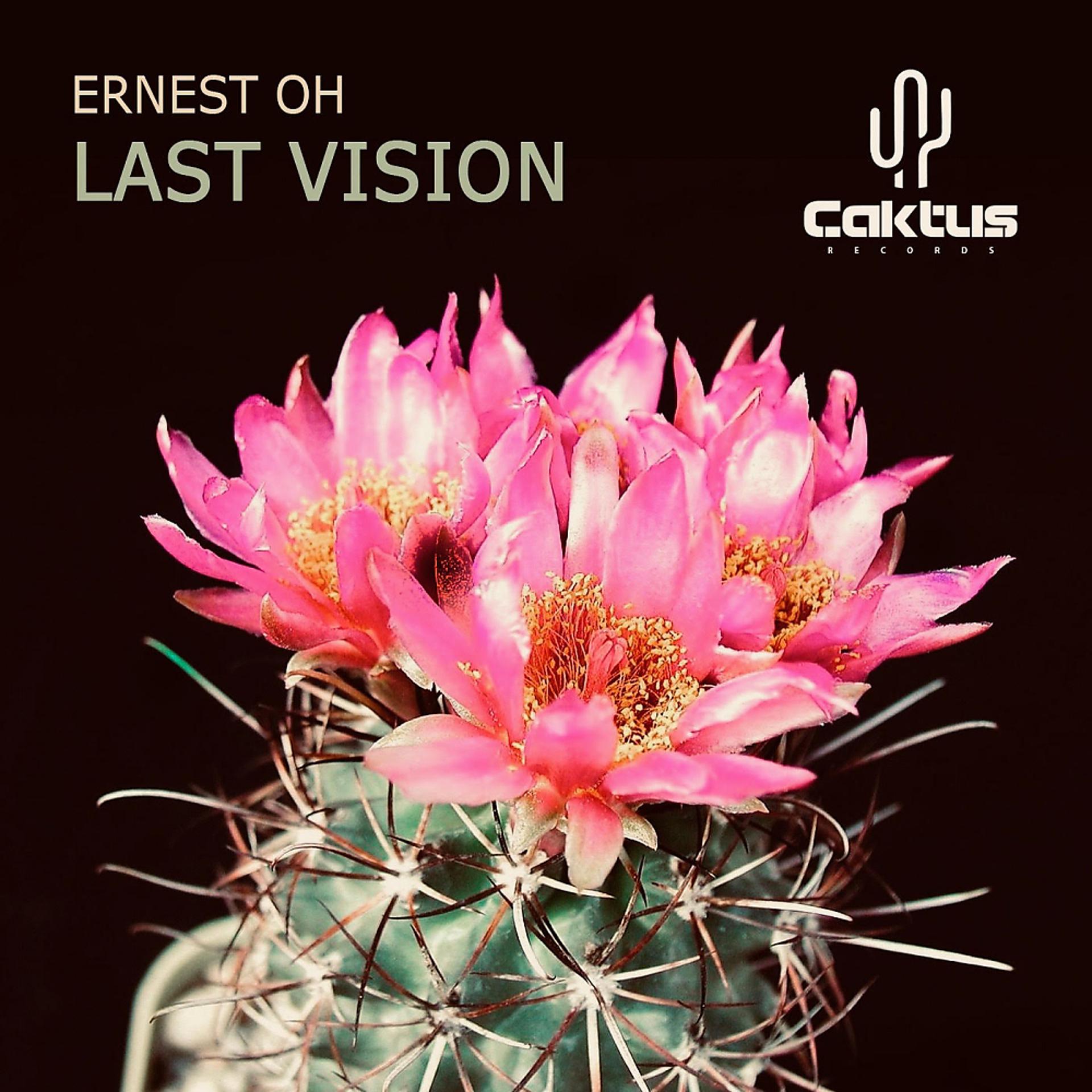 Постер альбома Last Vision