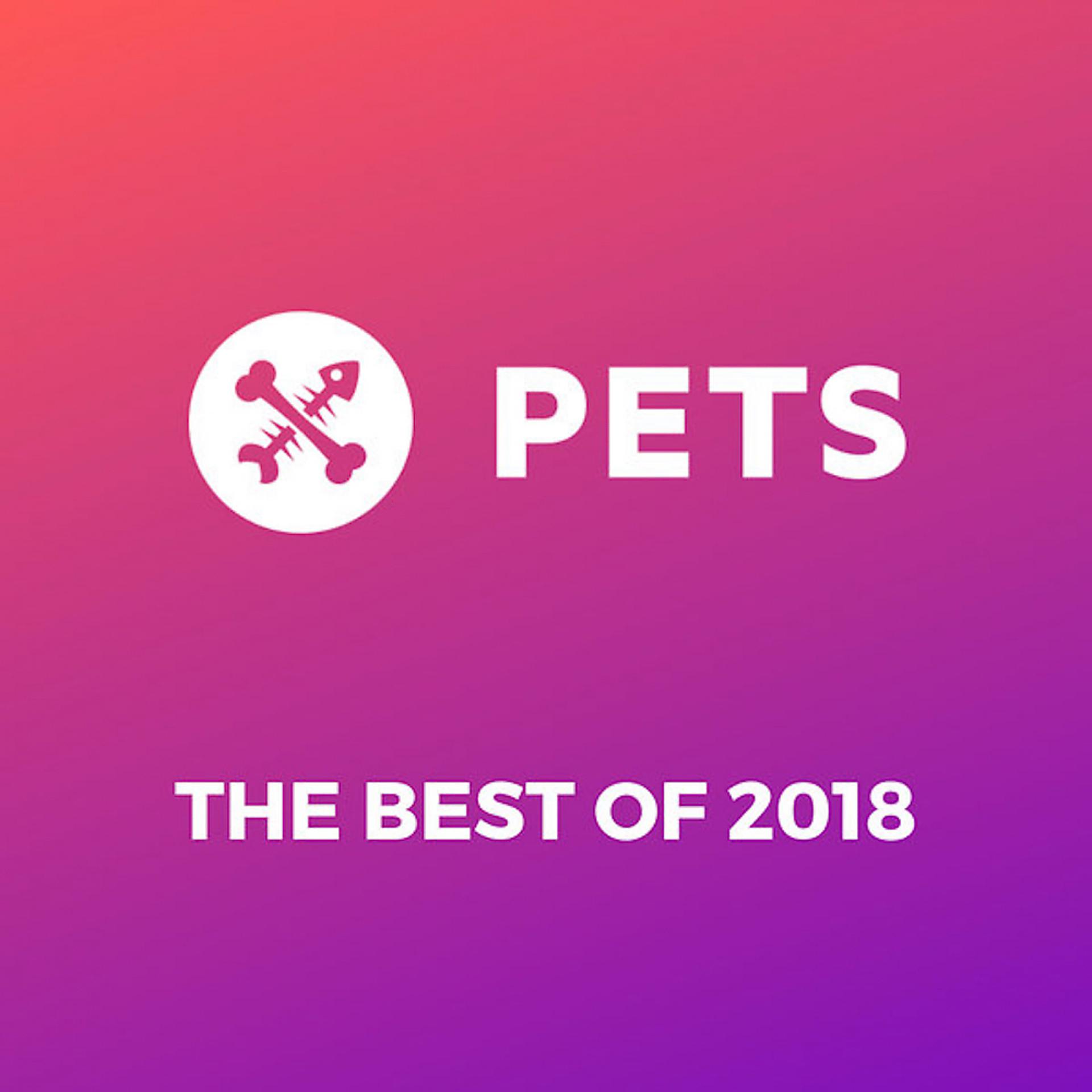 Постер альбома Pets Recordings Best of 2018