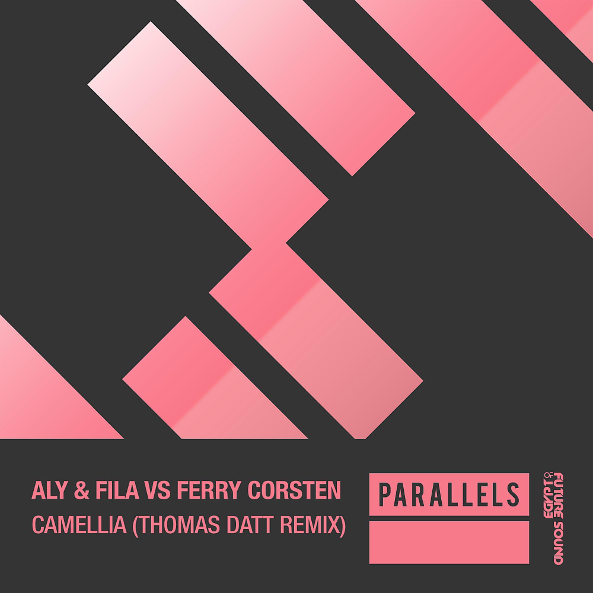Постер альбома Camellia (Thomas Datt Remix)