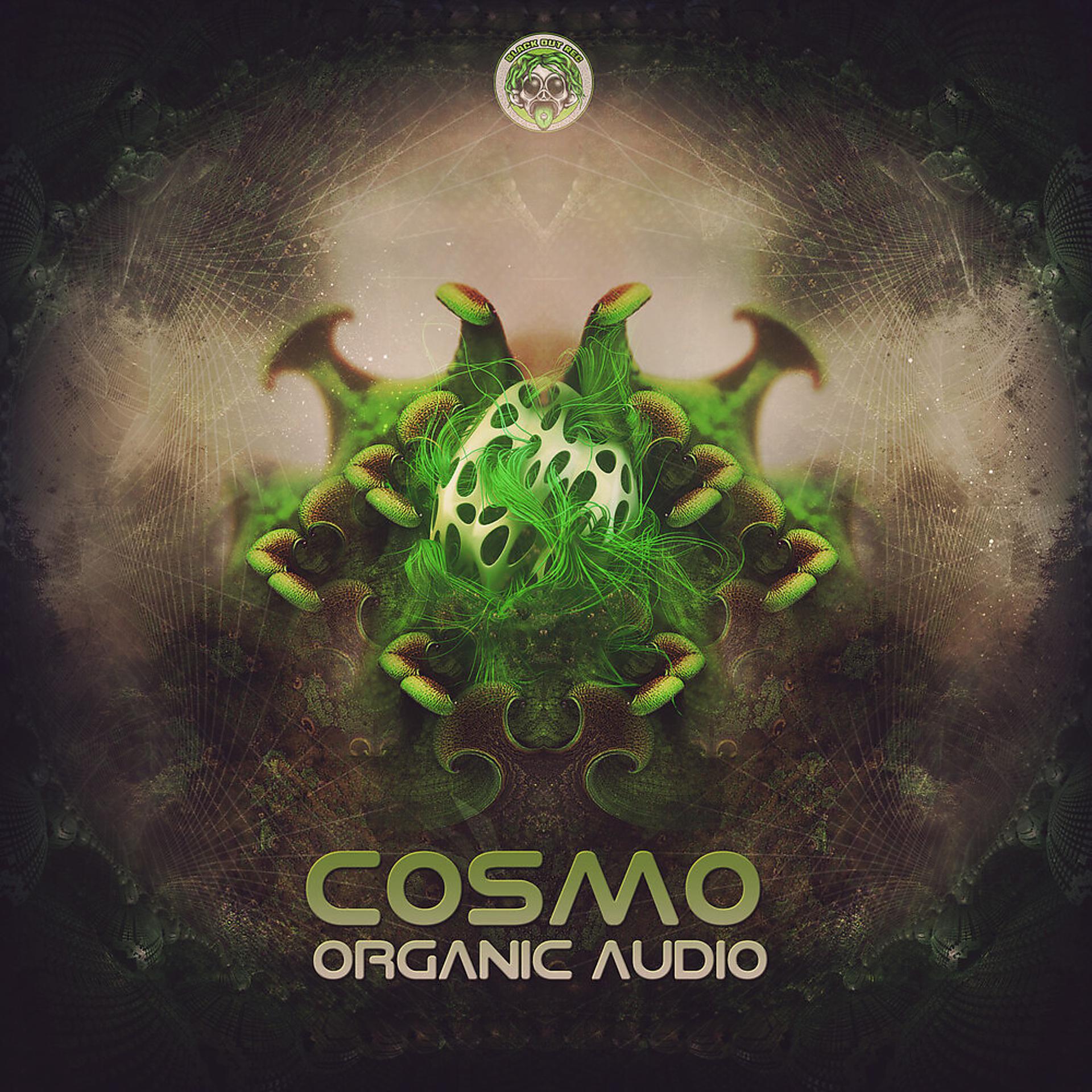 Постер альбома Organic Audio