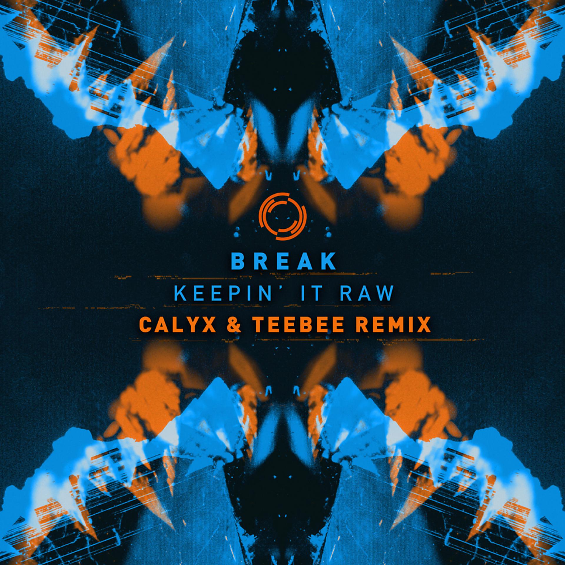 Постер альбома Keepin It Raw (Calyx & Teebee Remix)
