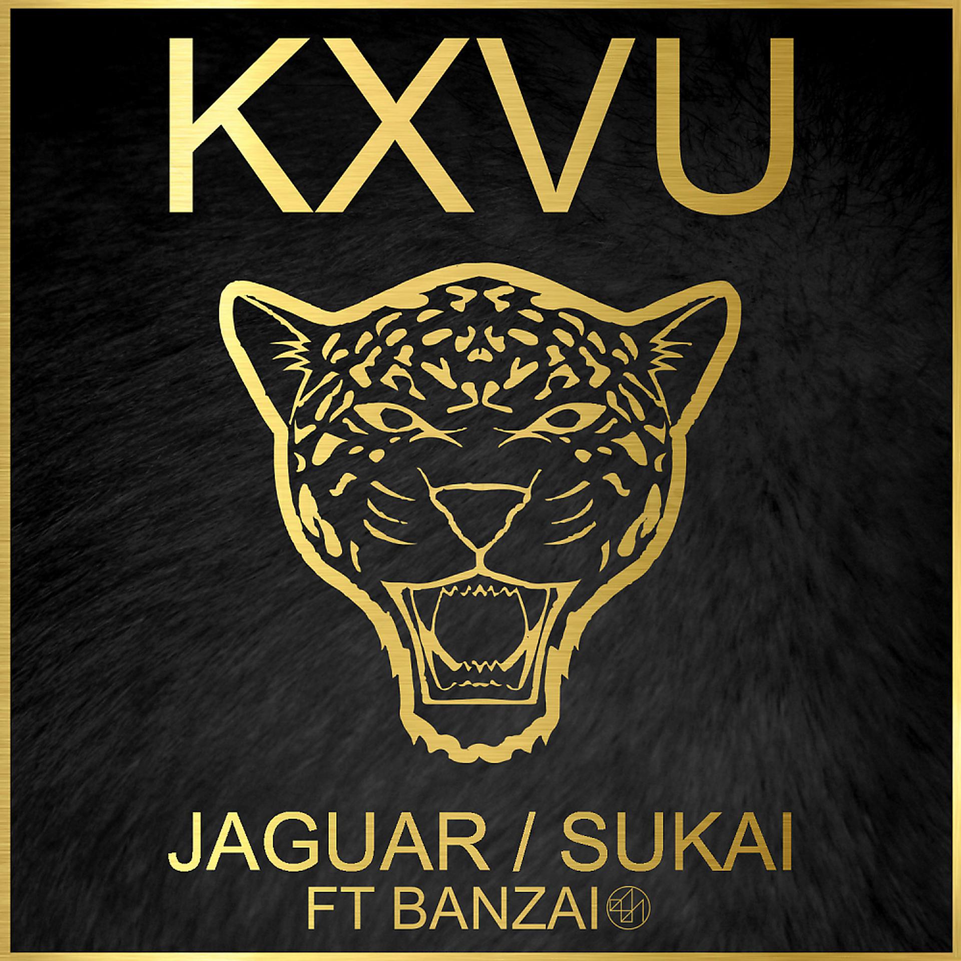 Постер альбома Jaguar / Sukai