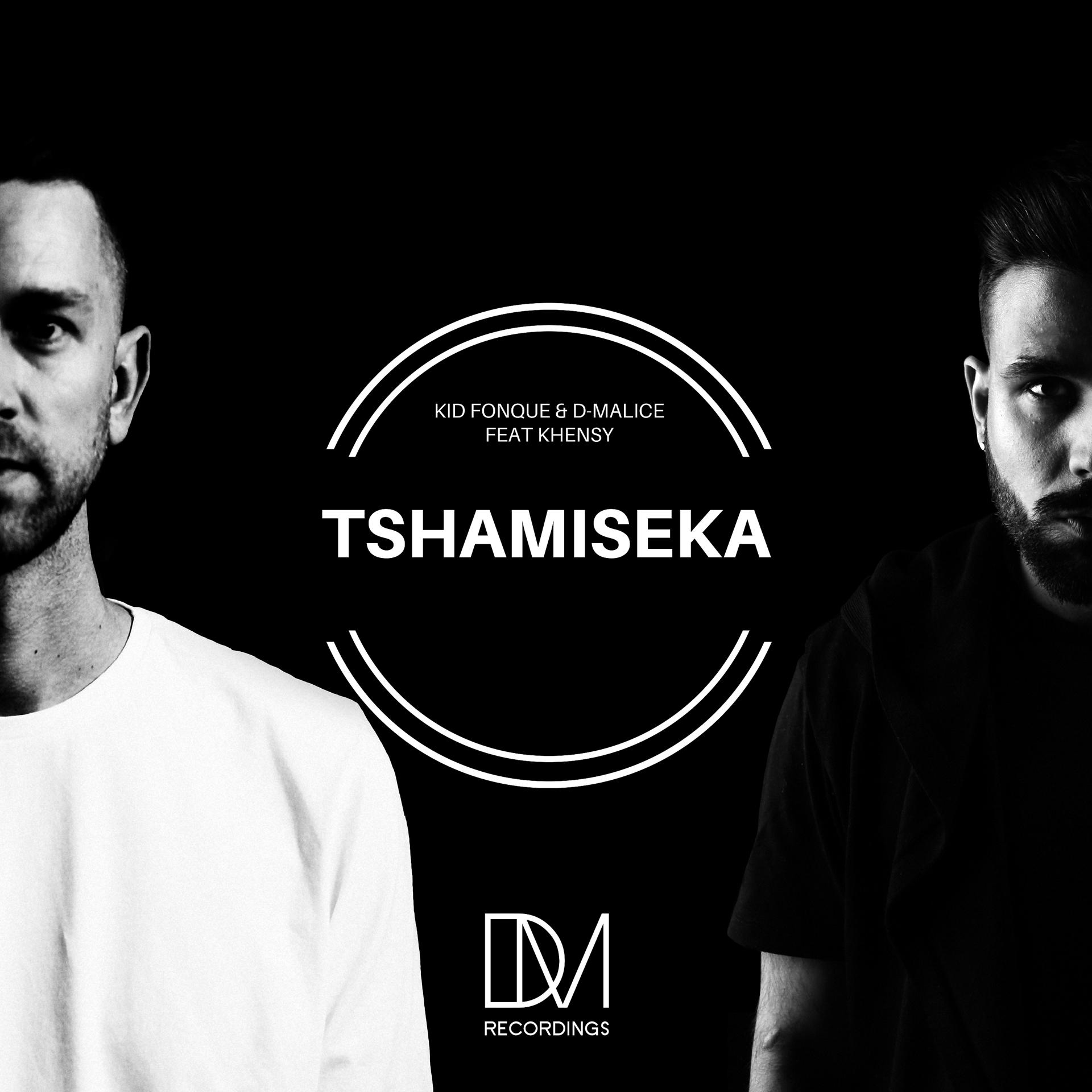 Постер альбома Tshamiseka
