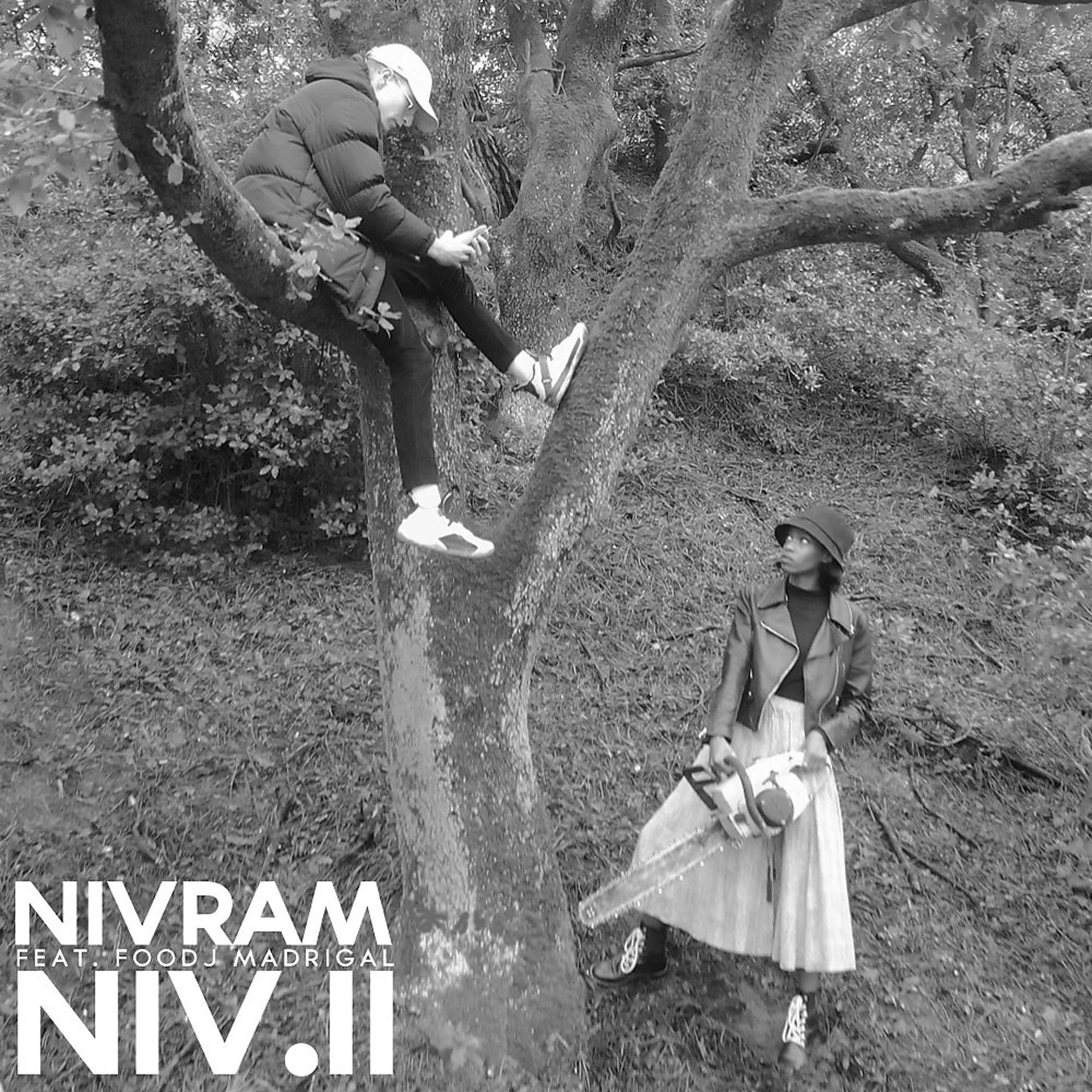 Постер альбома Niv.II